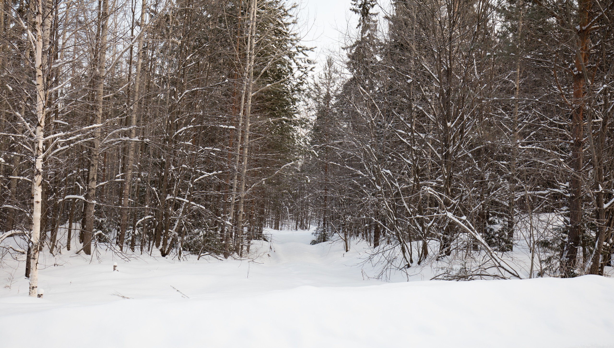 Екатеринбург. Владимир Власюк