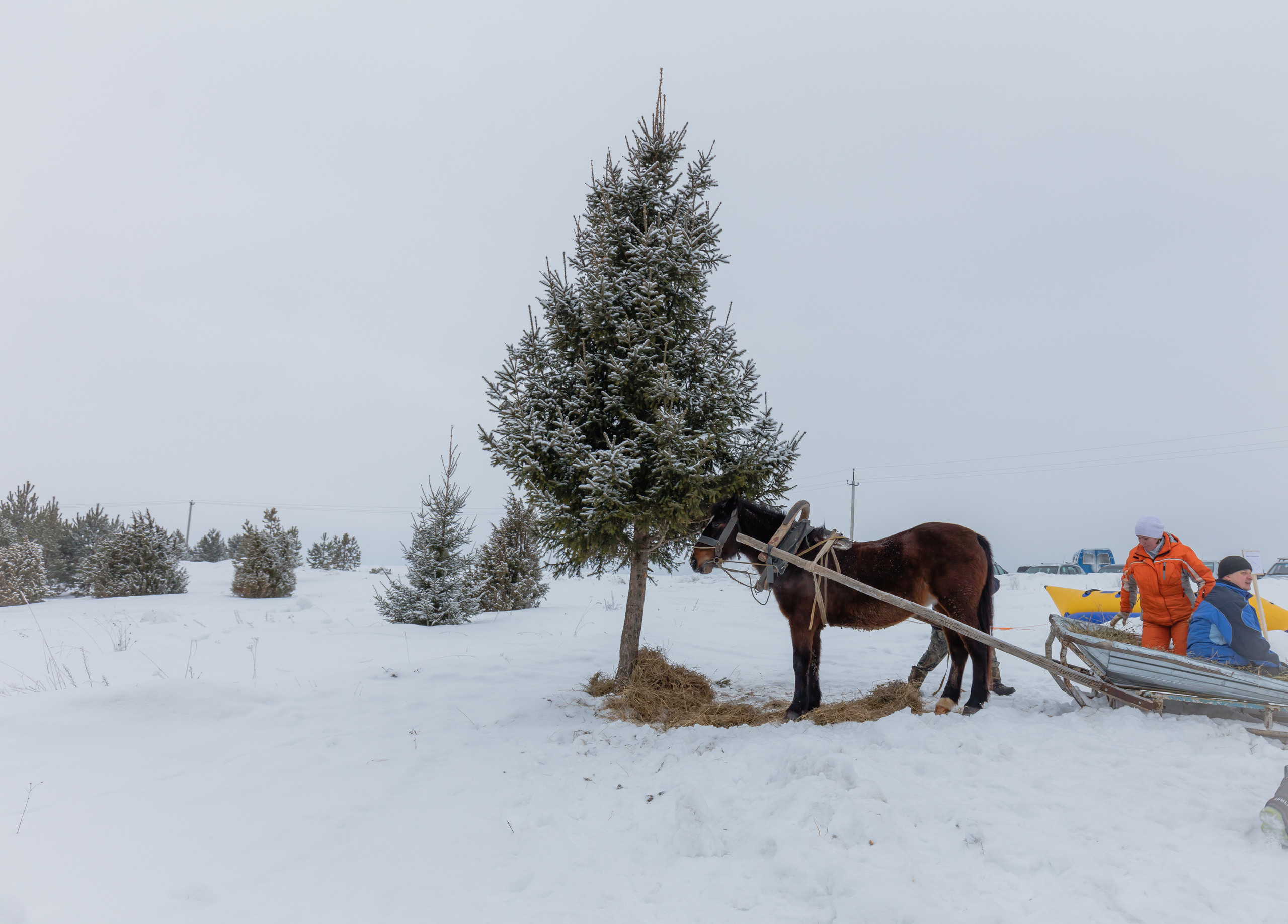Екатеринбург. Владимир Власюк