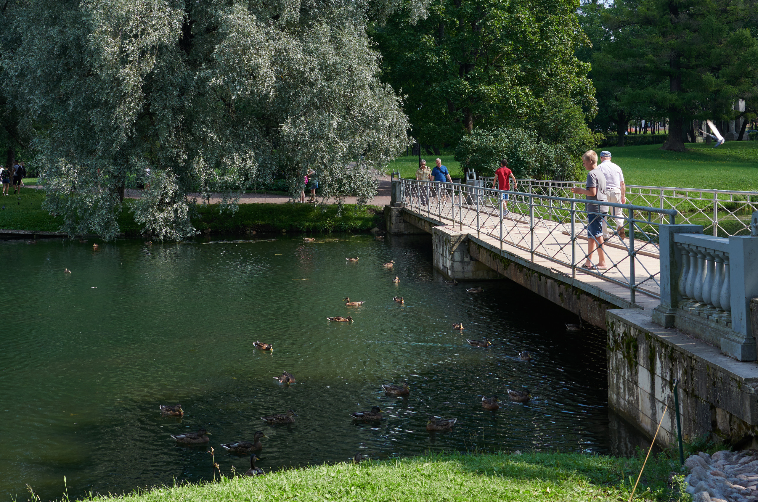 НАШИ ФОТО. Владимир Власюк