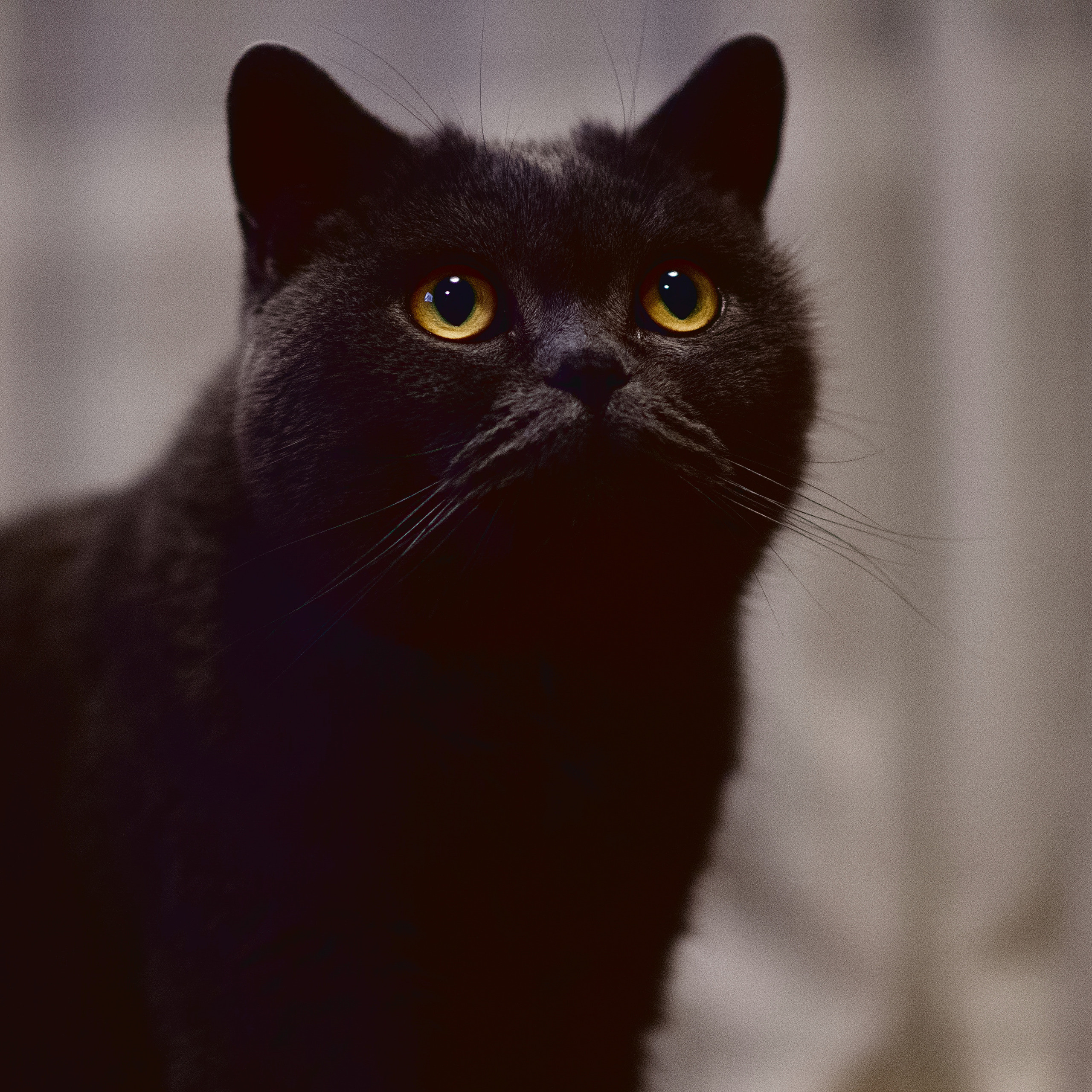 Екатеринбург. Владимир Власюк