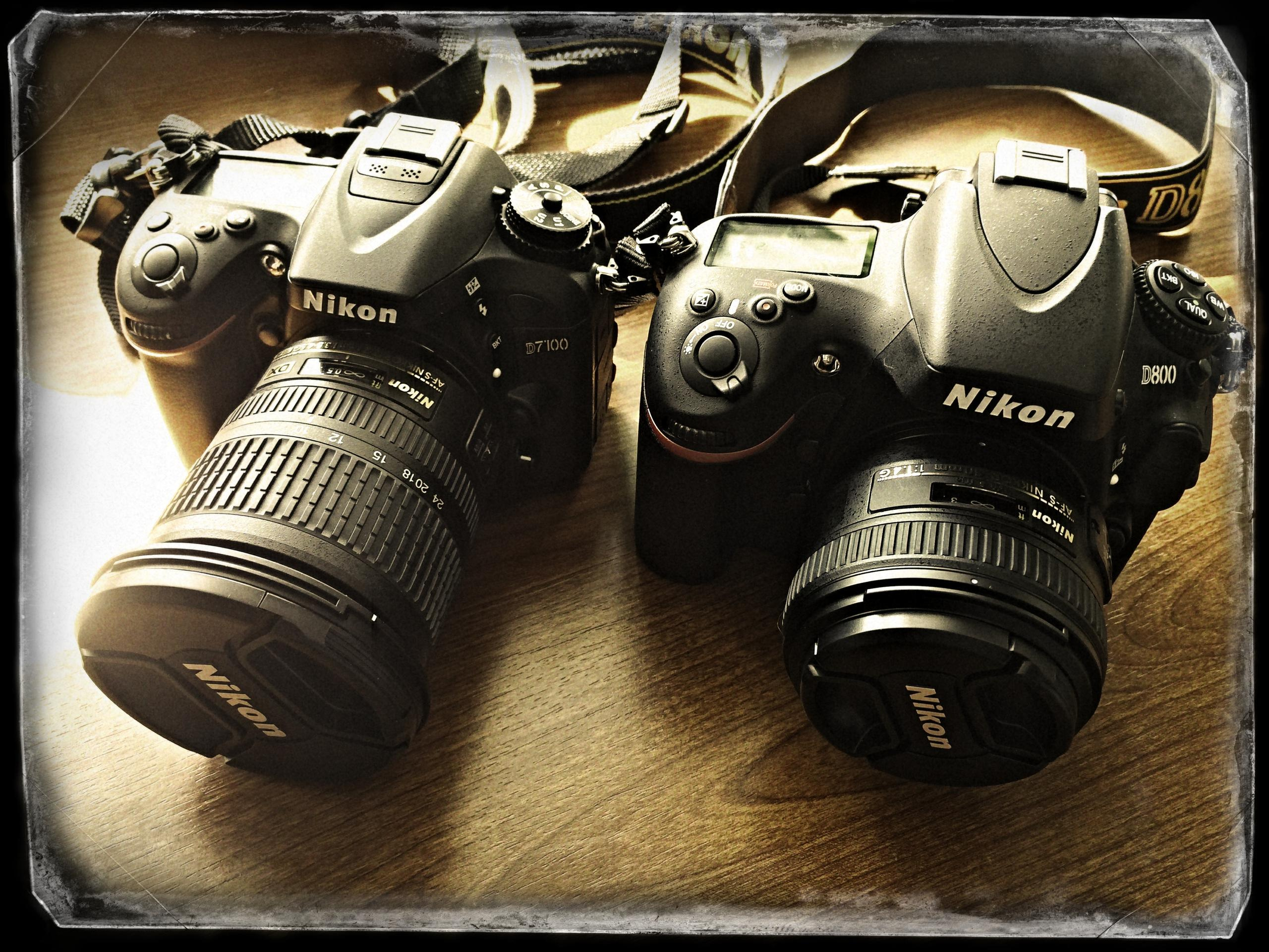 НАШИ ФОТО. Владимир Власюк