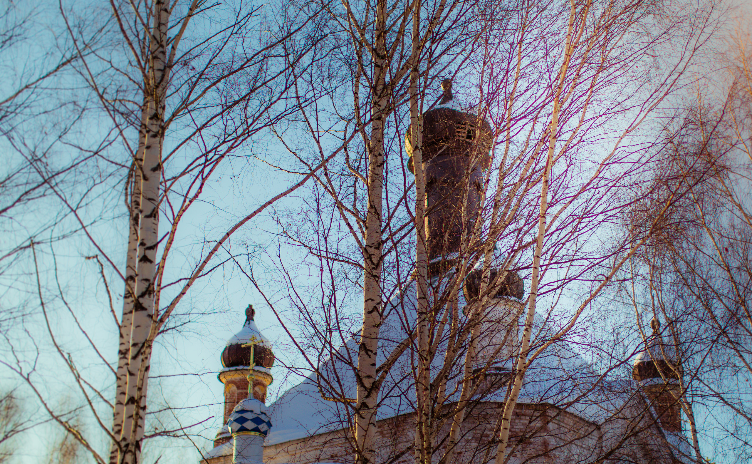 НАШИ ФОТО. Владимир Власюк