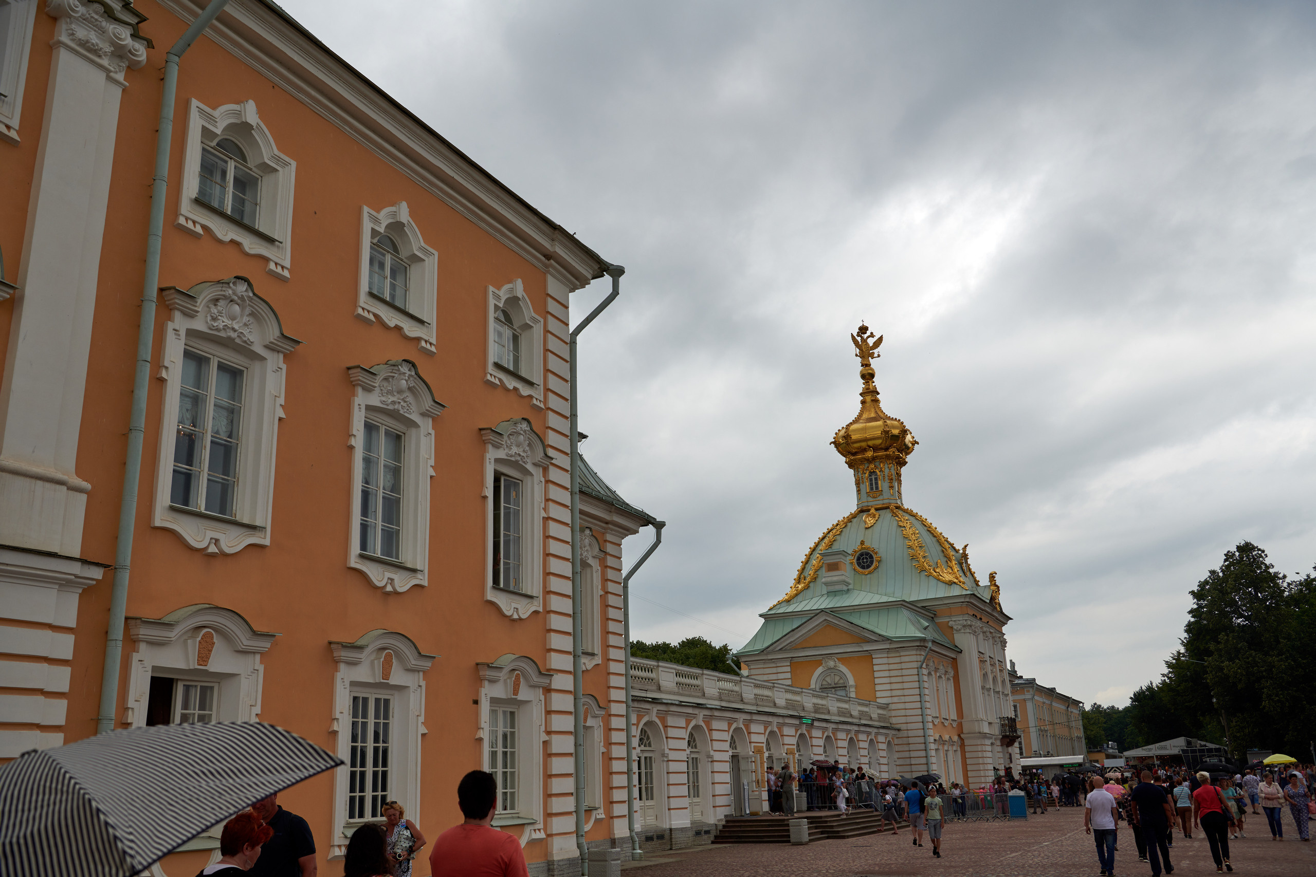 НАШИ ФОТО. Владимир Власюк