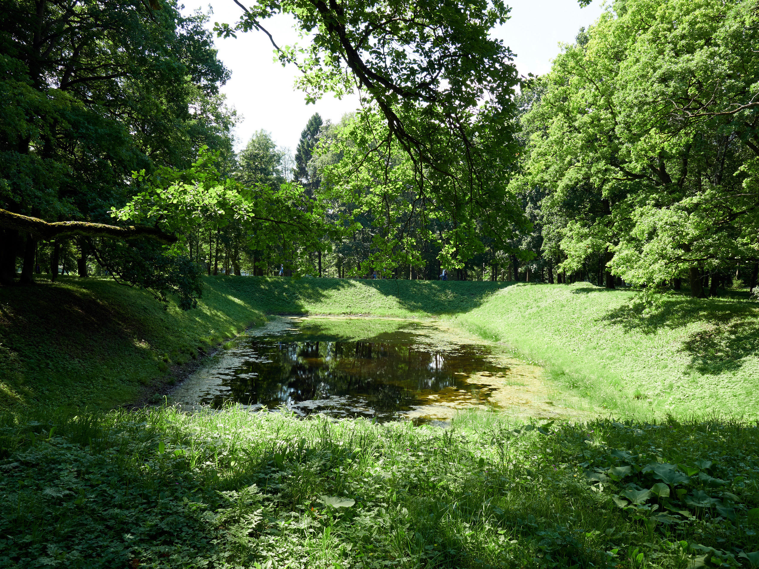 НАШИ ФОТО. Владимир Власюк