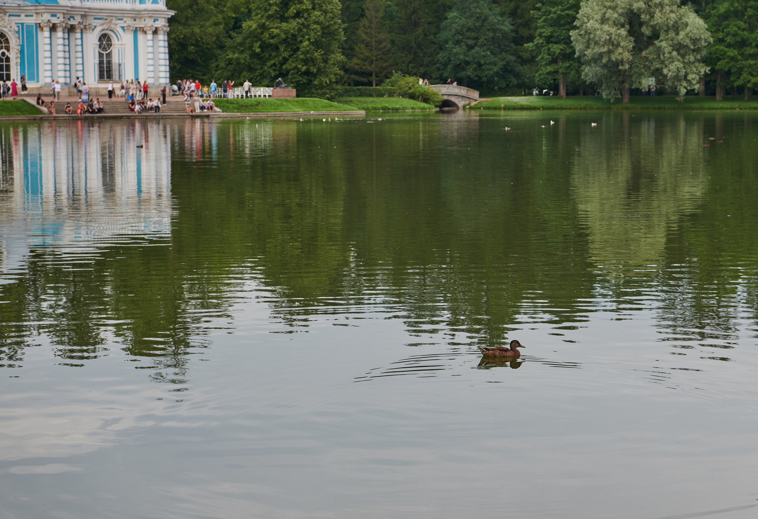 НАШИ ФОТО. Владимир Власюк