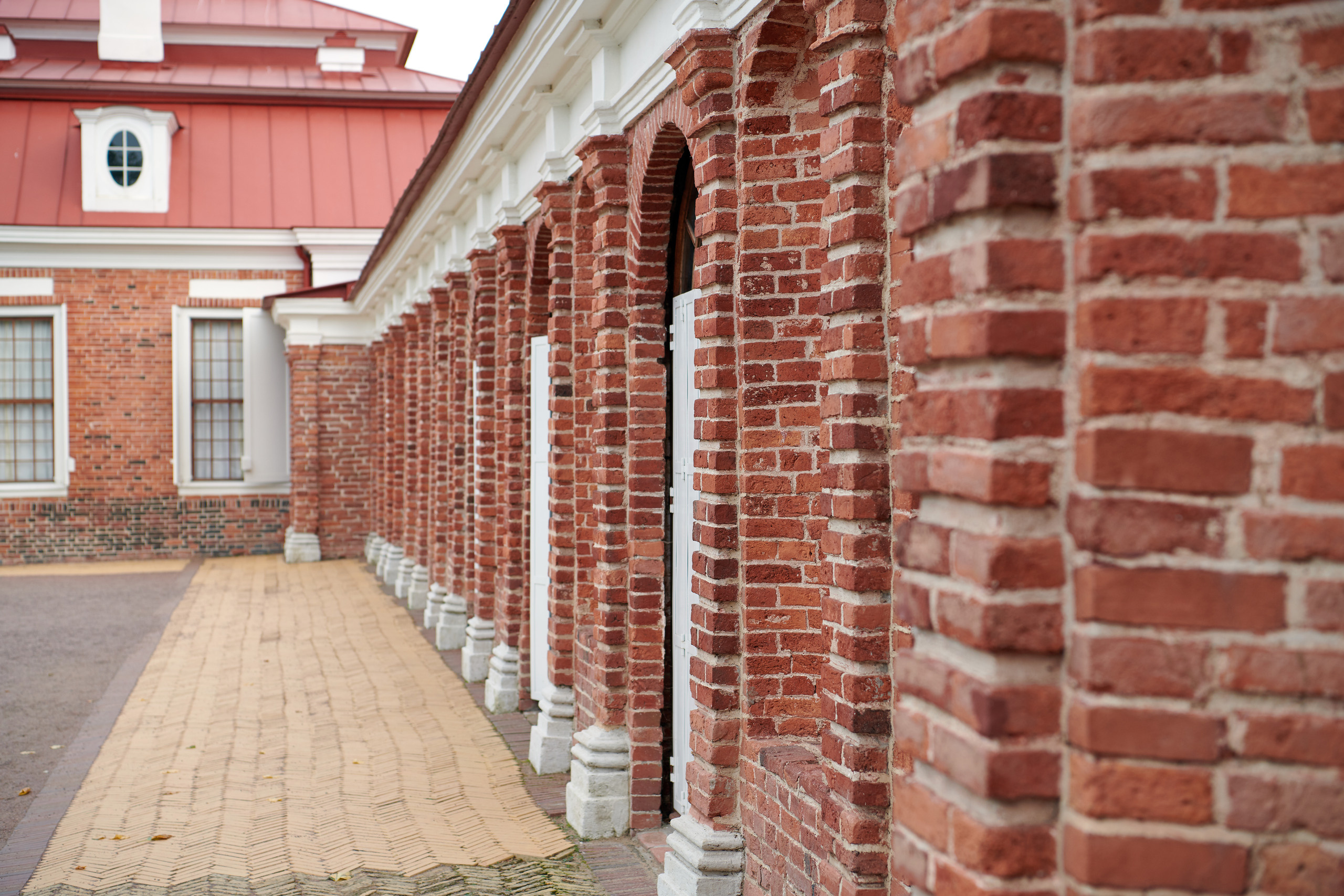 НАШИ ФОТО. Владимир Власюк