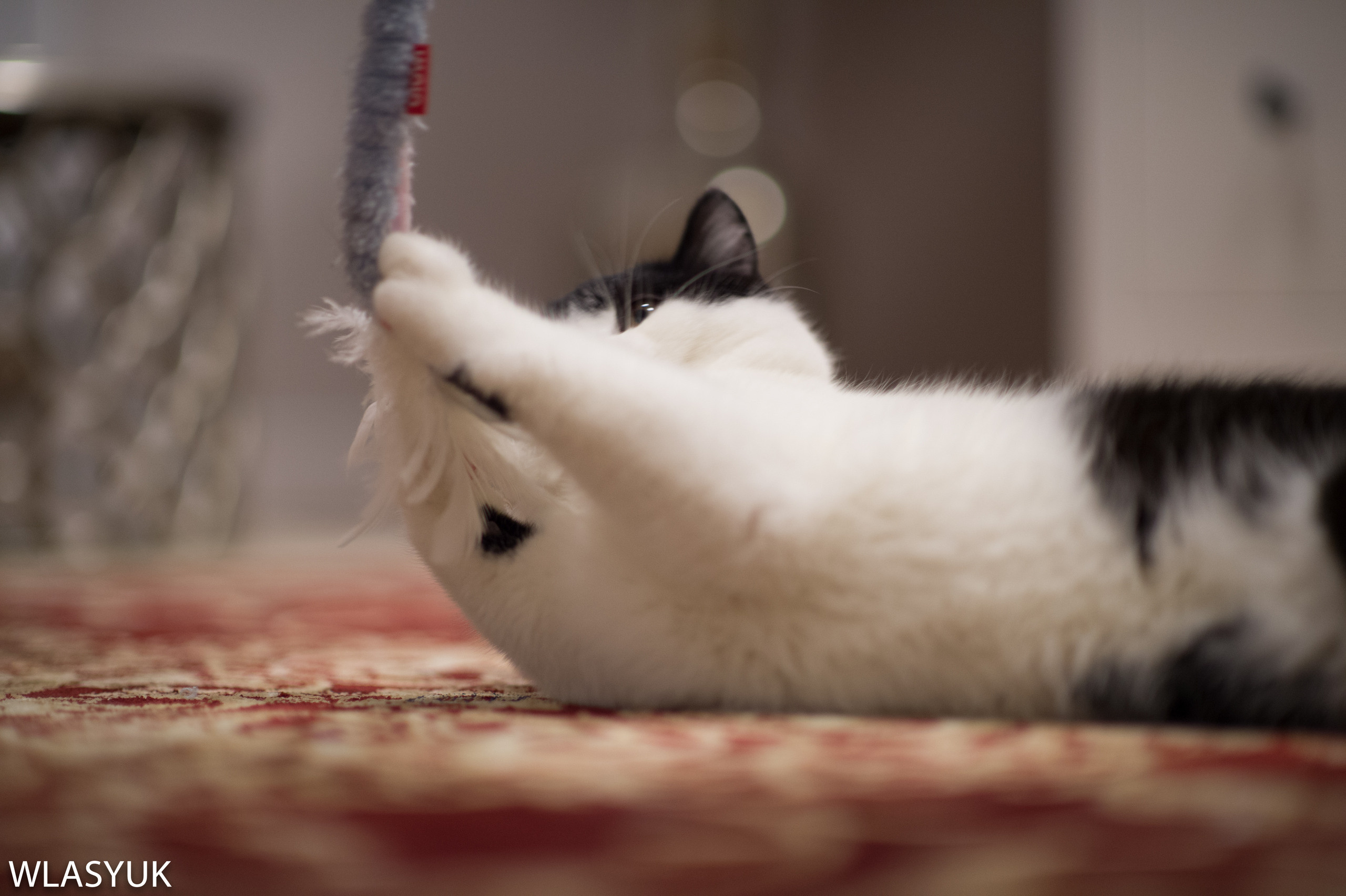 Екатеринбург. Владимир Власюк