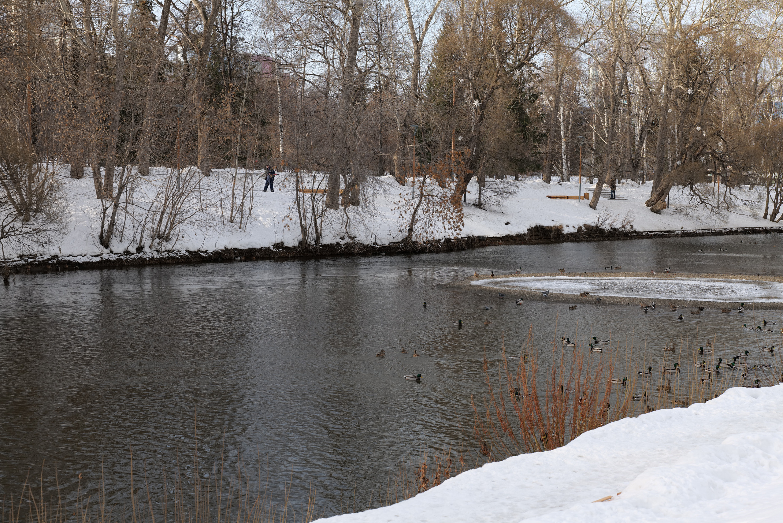 НАШИ ФОТО. Владимир Власюк