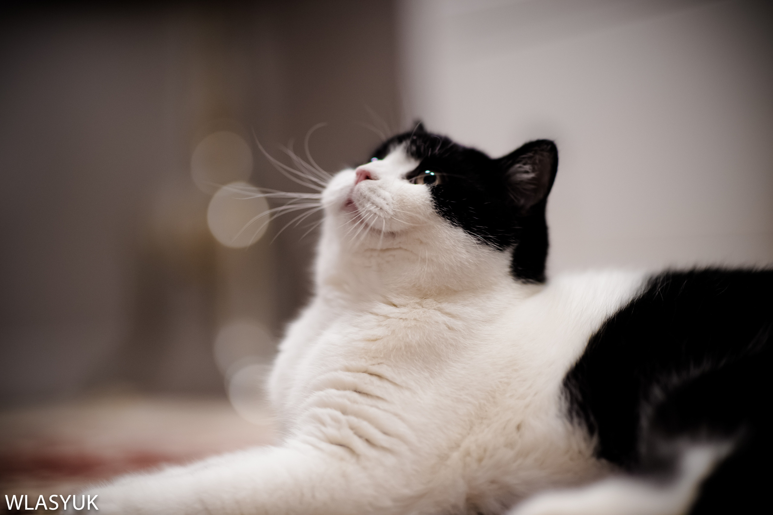 Екатеринбург. Владимир Власюк