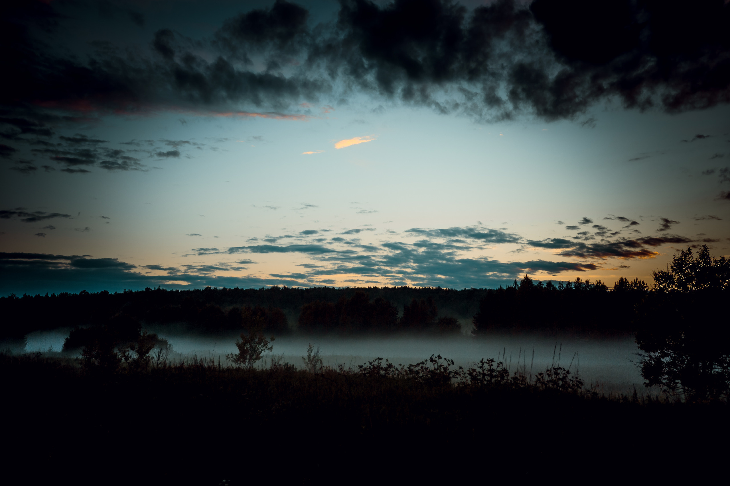 НАШИ ФОТО. Владимир Власюк