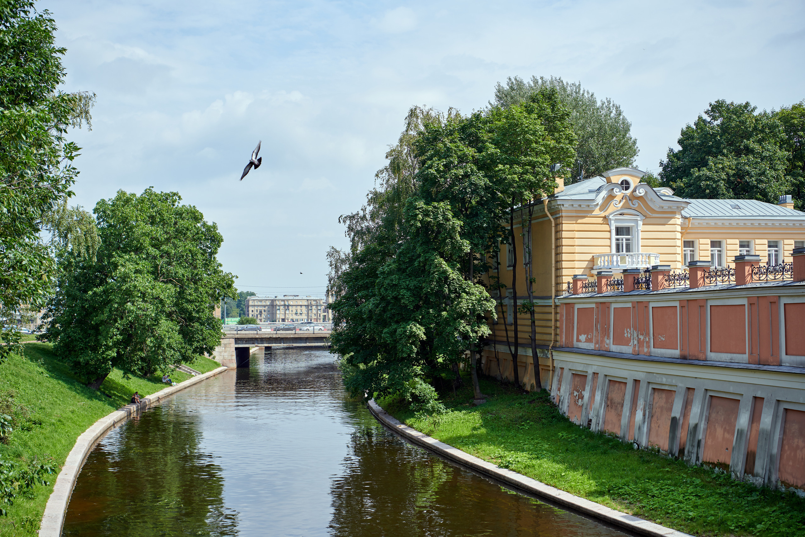 НАШИ ФОТО. Владимир Власюк