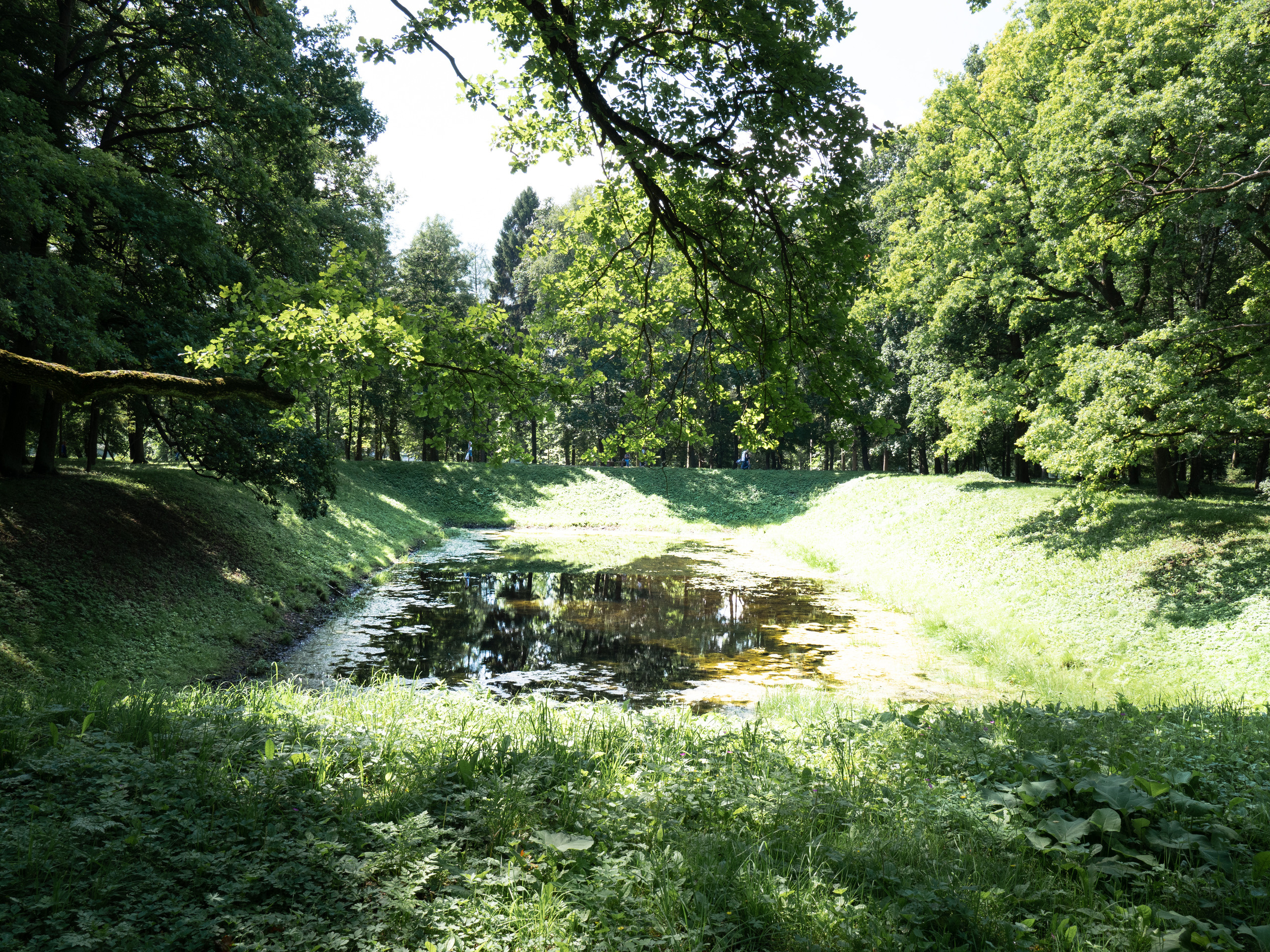Питер 2018. Владимир Власюк