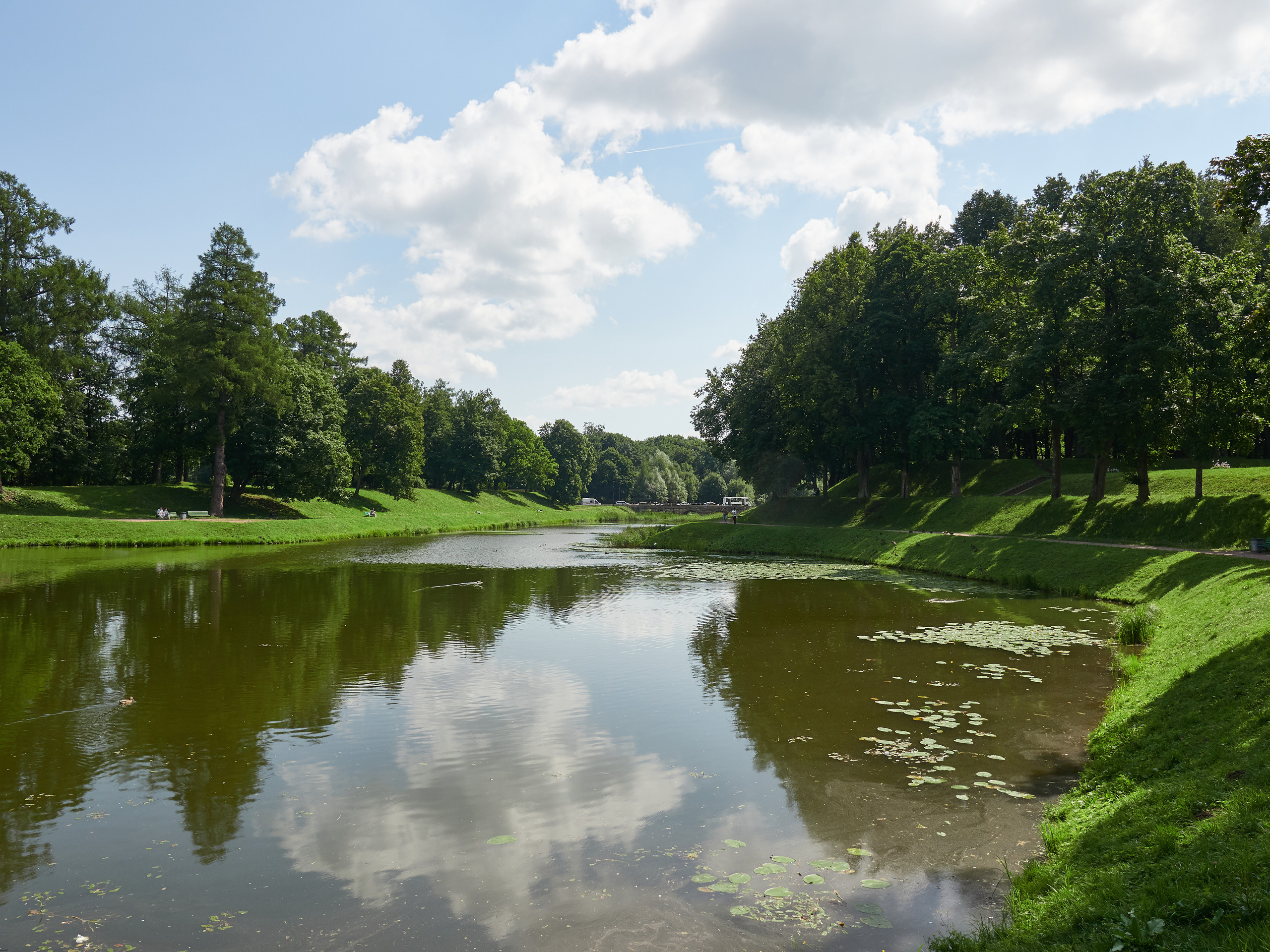НАШИ ФОТО. Владимир Власюк