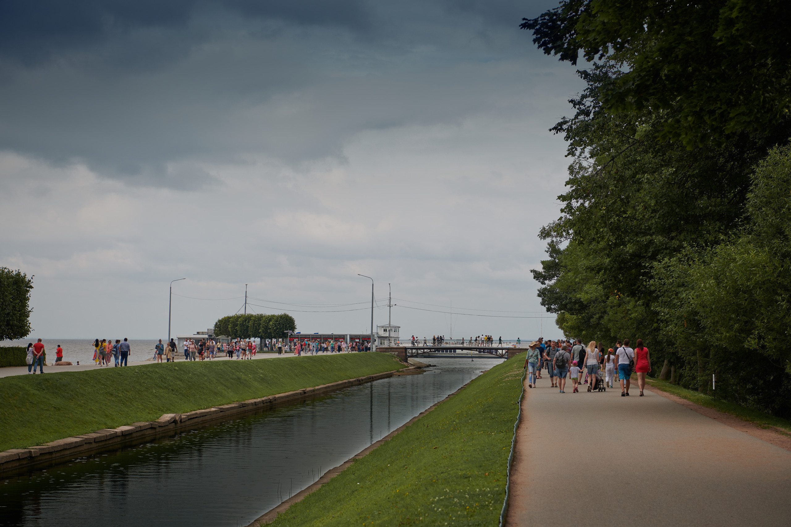 НАШИ ФОТО. Владимир Власюк