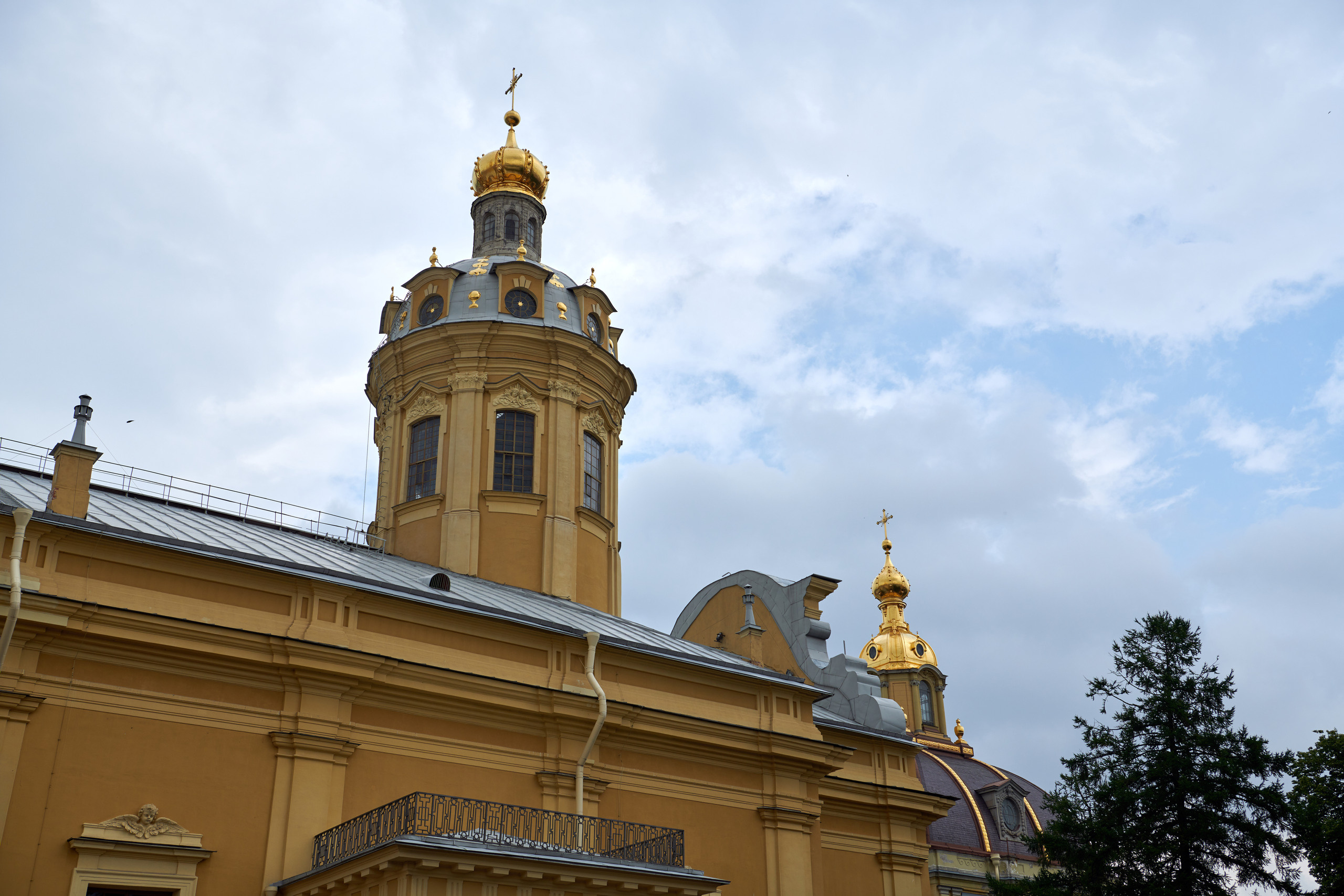 НАШИ ФОТО. Владимир Власюк