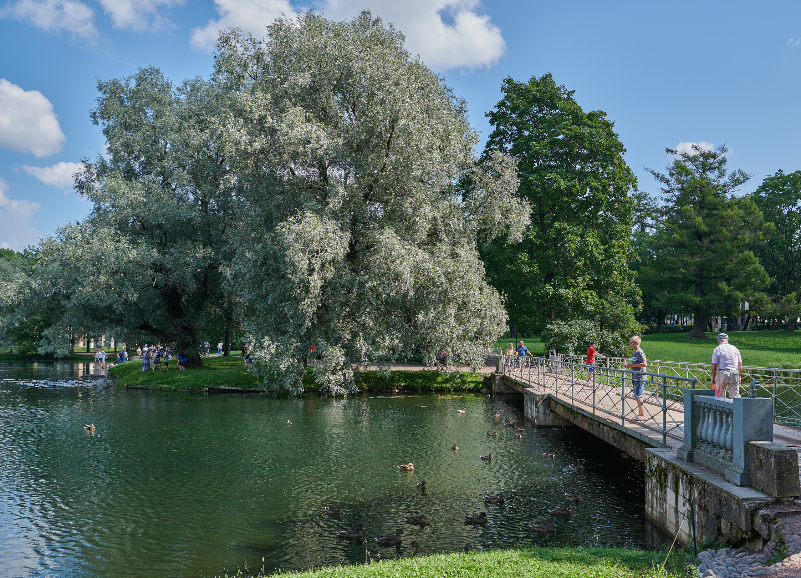 НАШИ ФОТО. Владимир Власюк