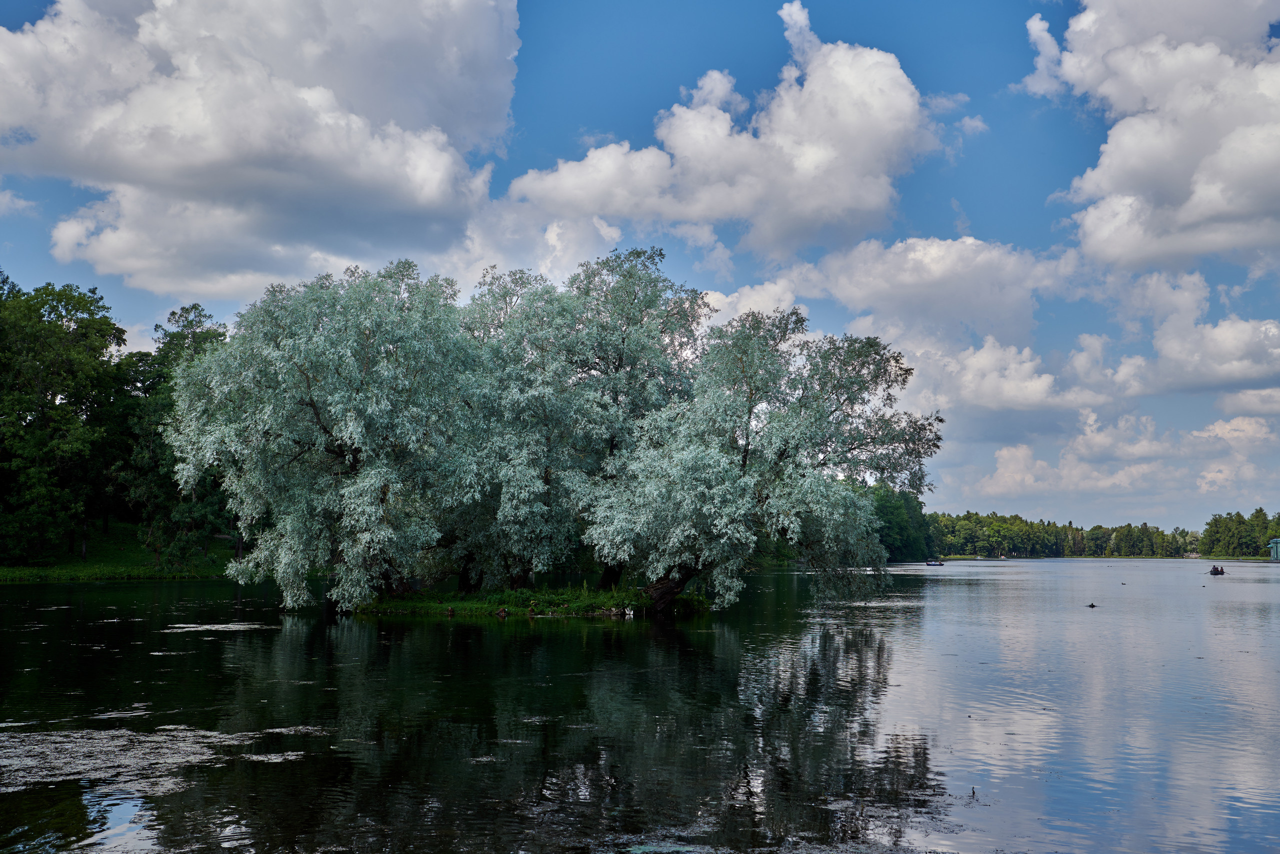 НАШИ ФОТО. Владимир Власюк