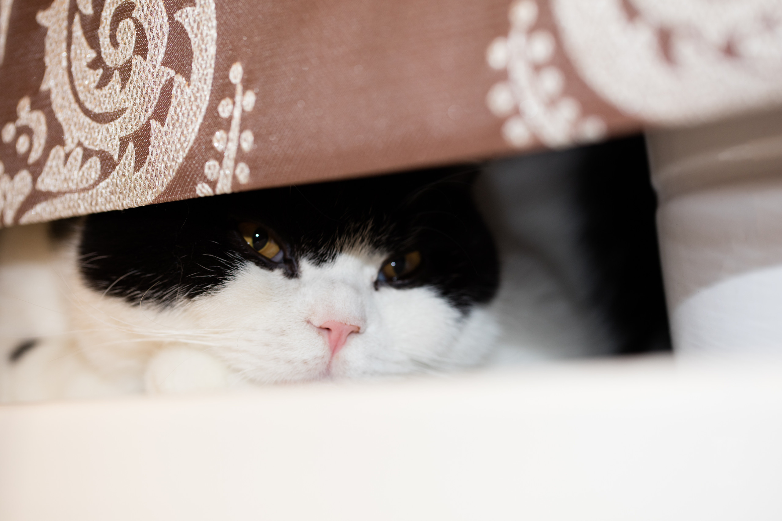 Екатеринбург. Владимир Власюк