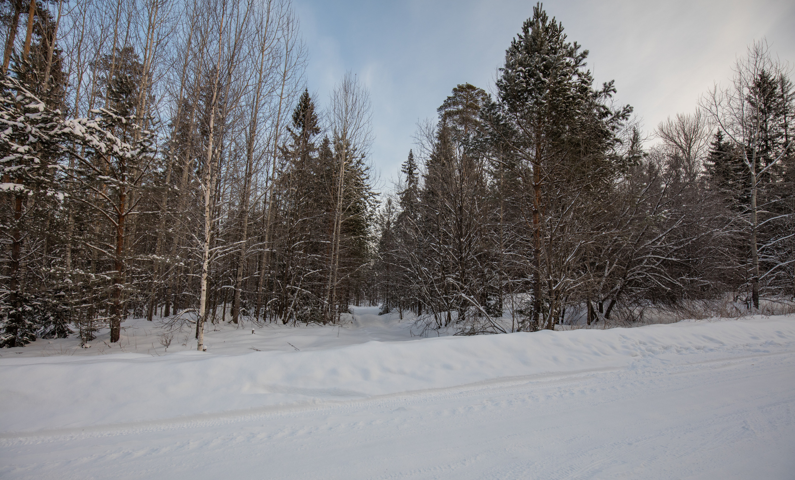 Екатеринбург. Владимир Власюк