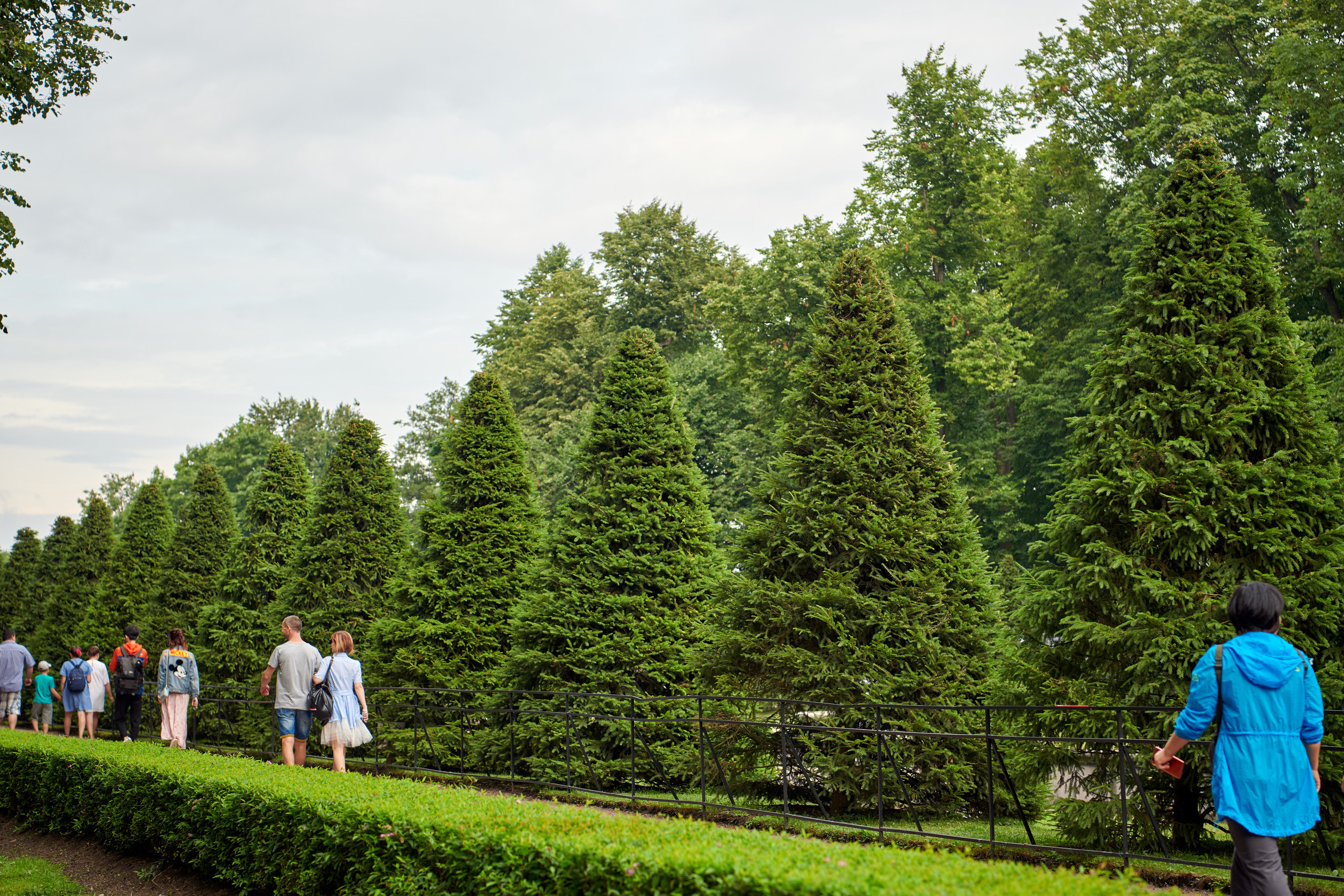 НАШИ ФОТО. Владимир Власюк