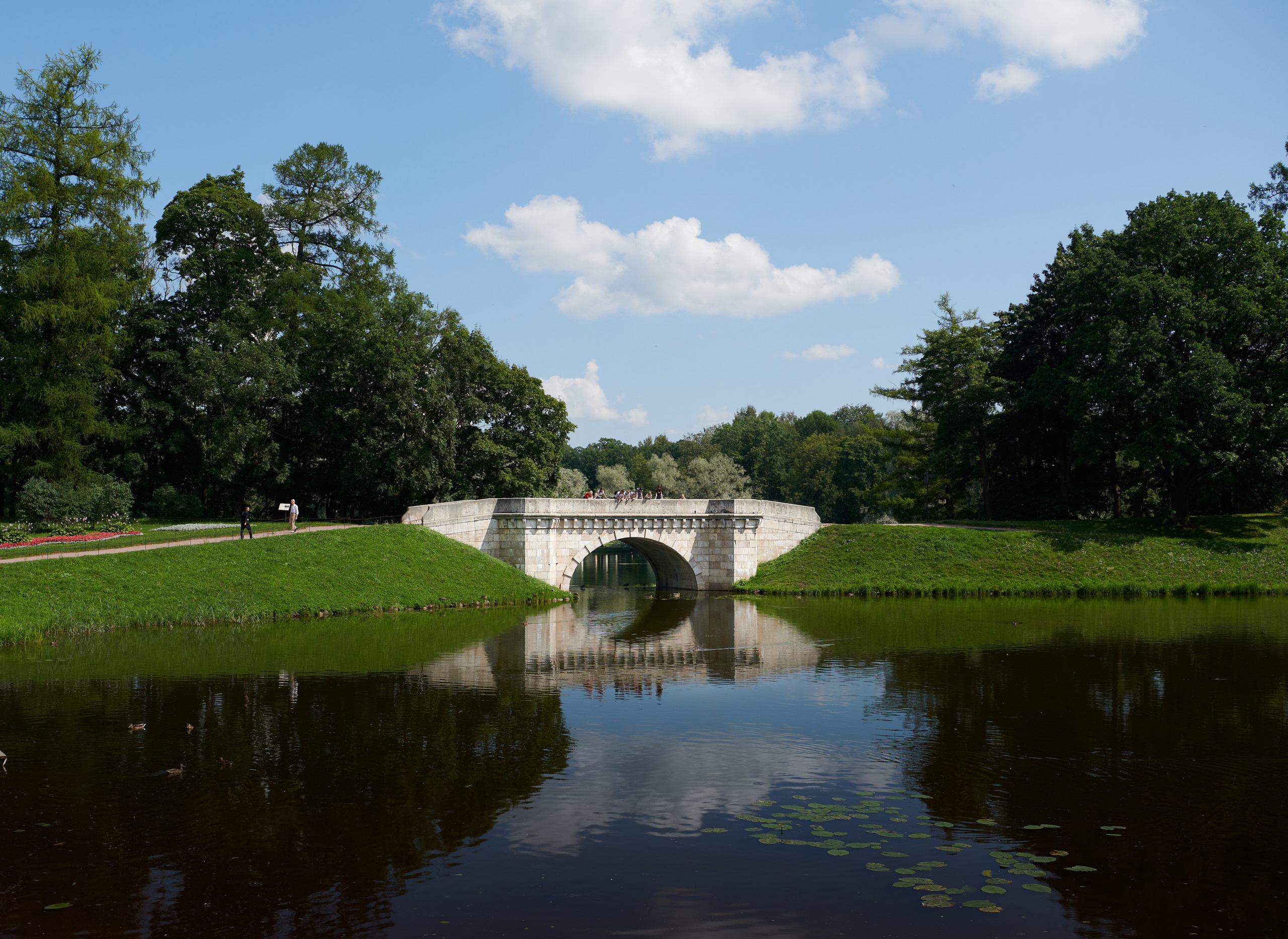НАШИ ФОТО. Владимир Власюк