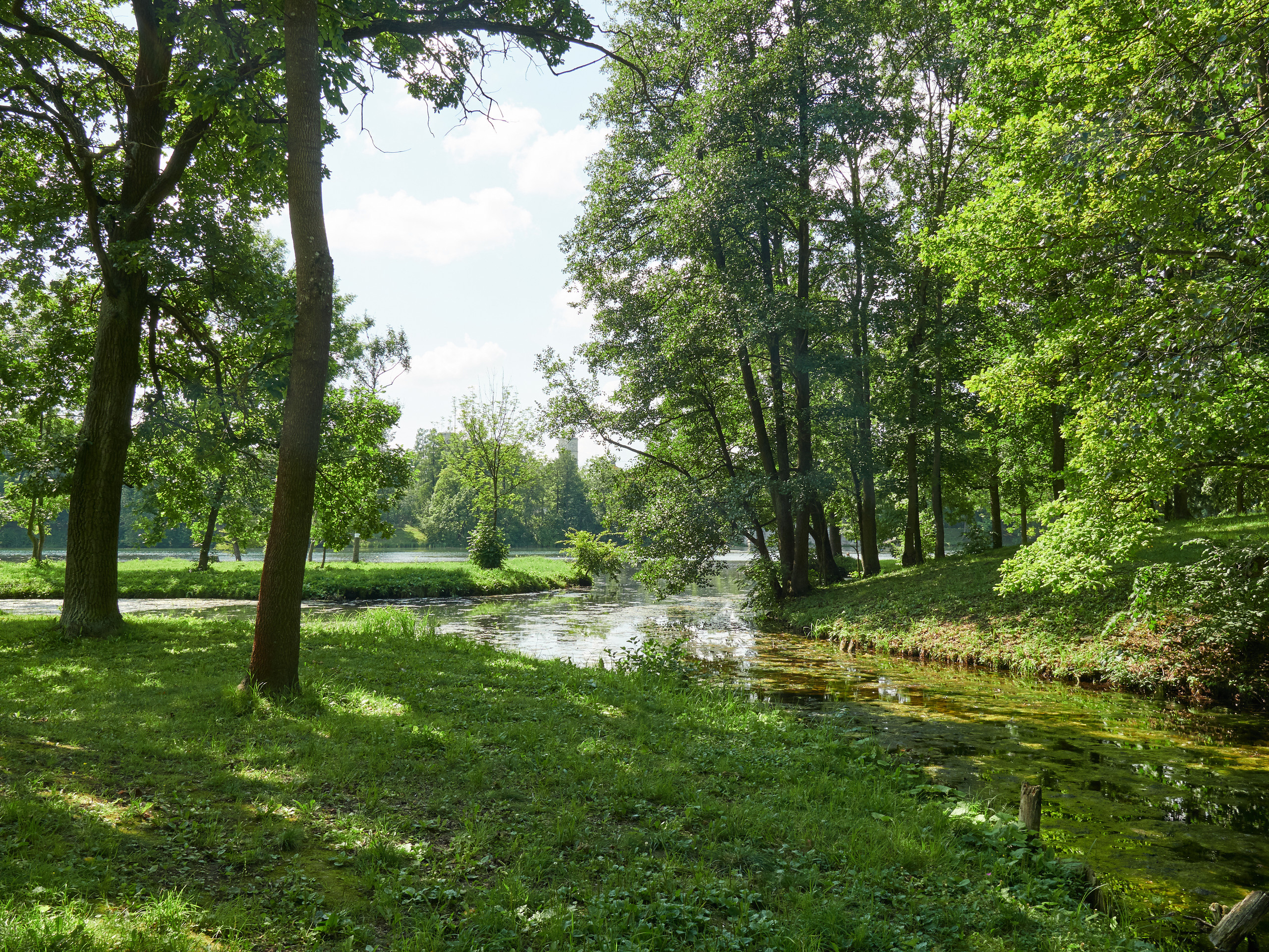 НАШИ ФОТО. Владимир Власюк