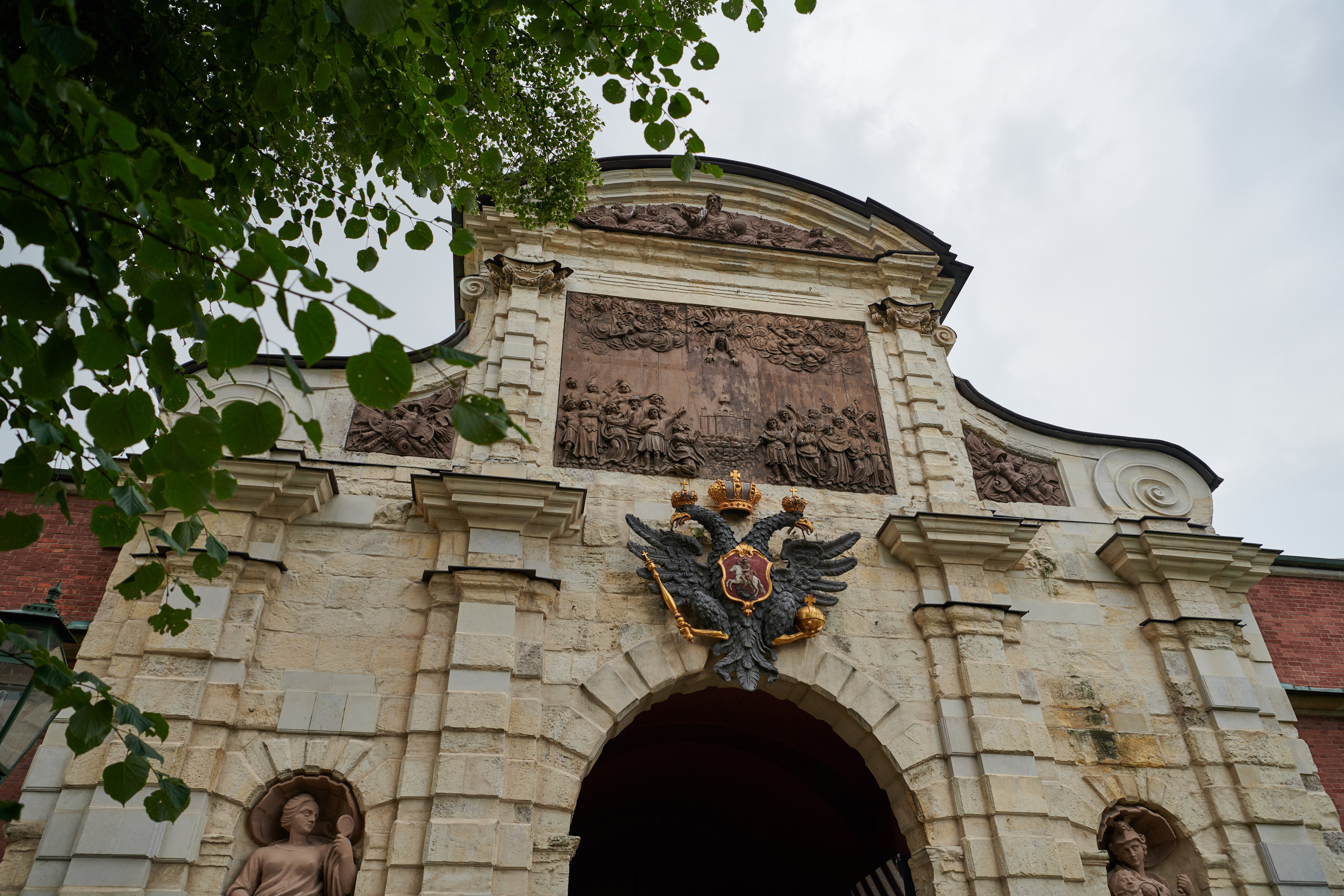 НАШИ ФОТО. Владимир Власюк