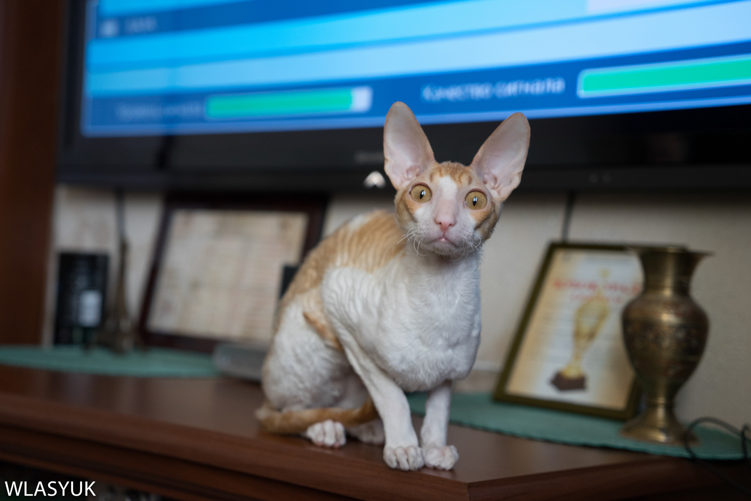 Екатеринбург. Владимир Власюк