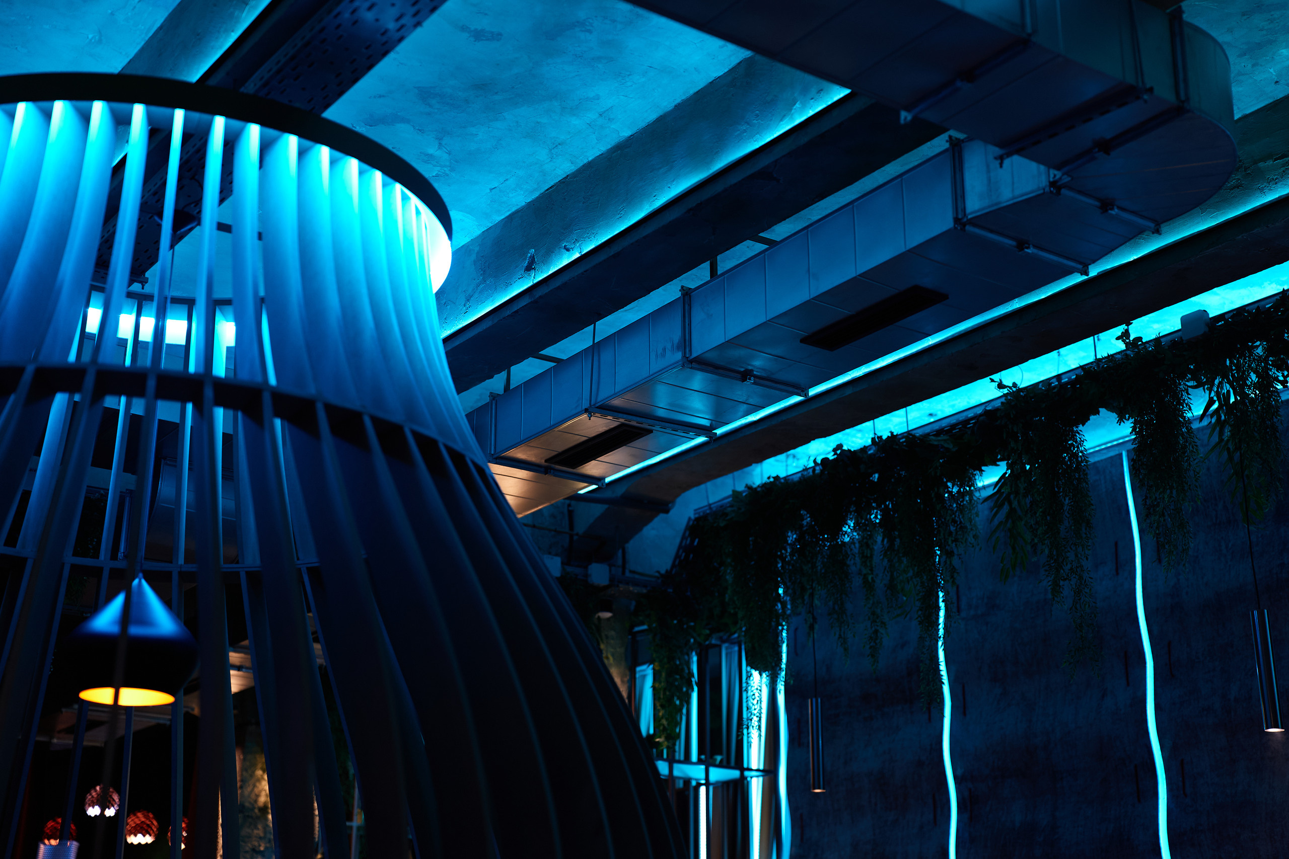 НАШИ ФОТО. Владимир Власюк