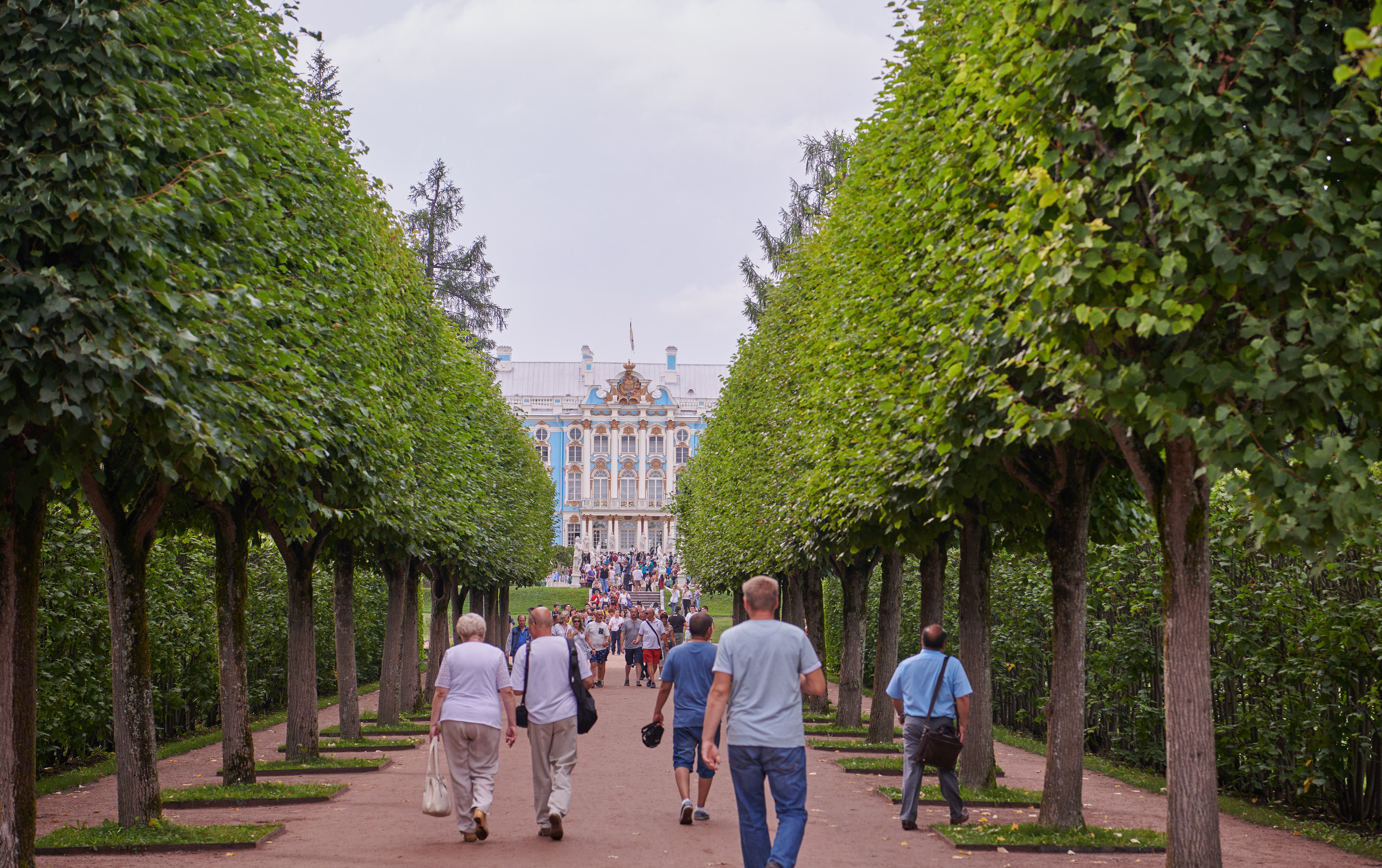 НАШИ ФОТО. Владимир Власюк