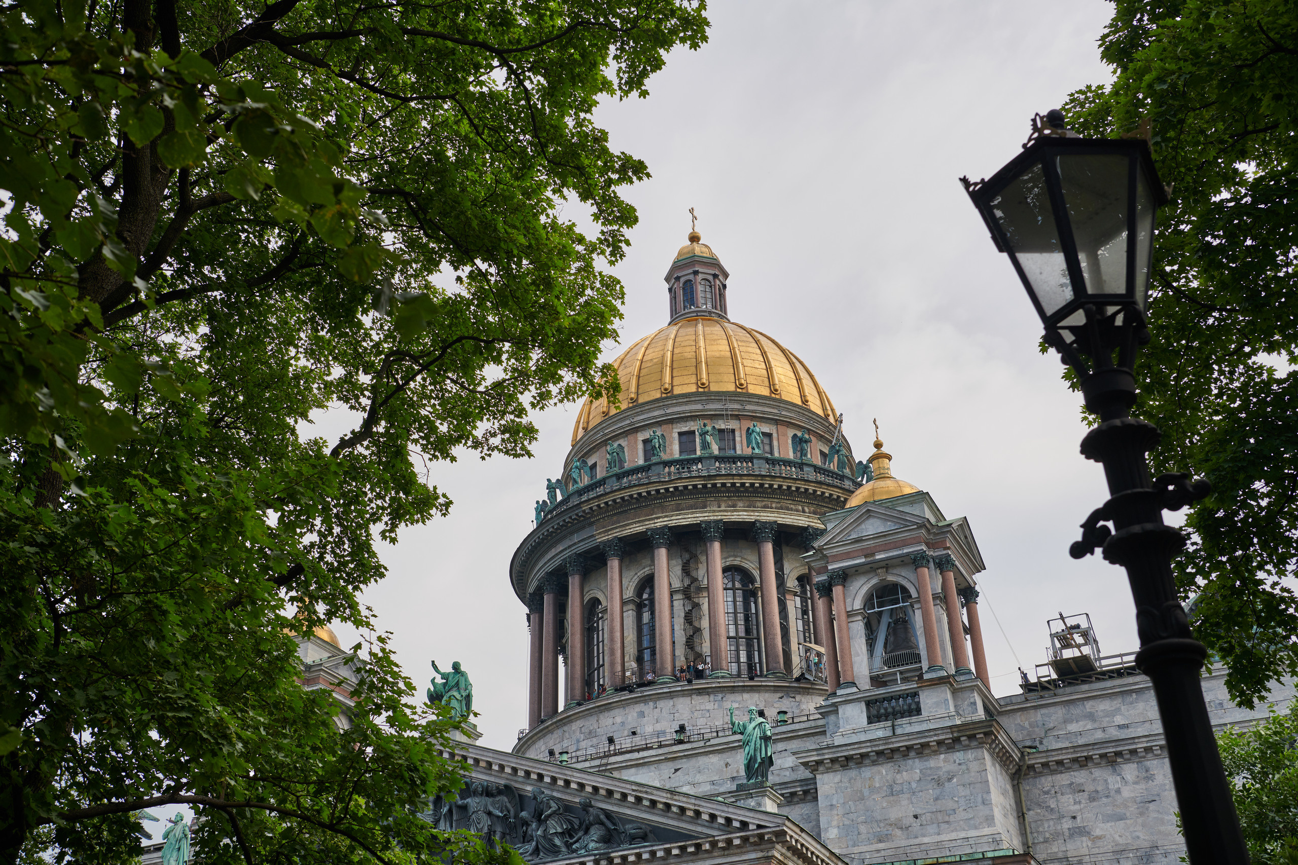 НАШИ ФОТО. Владимир Власюк