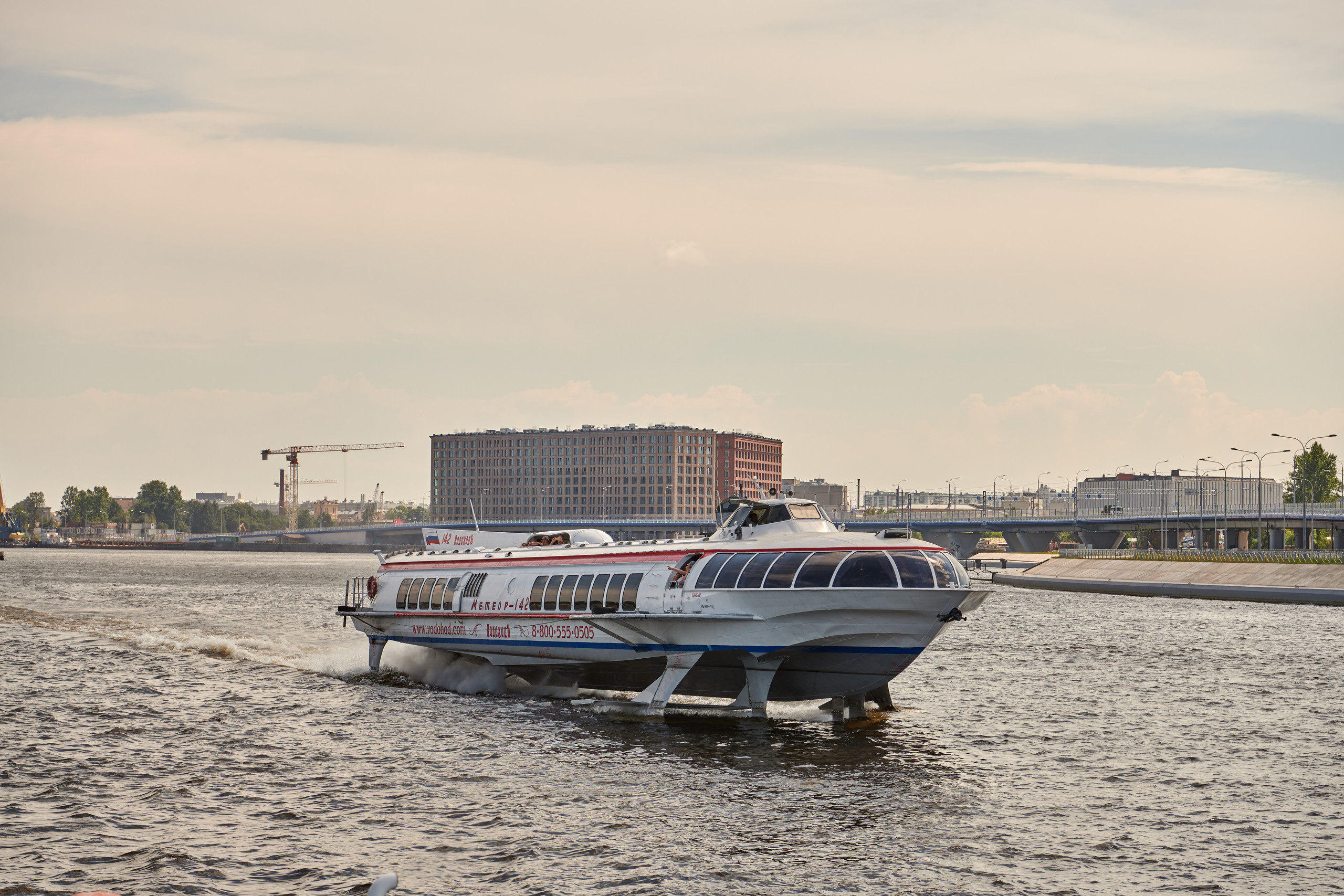 НАШИ ФОТО. Владимир Власюк