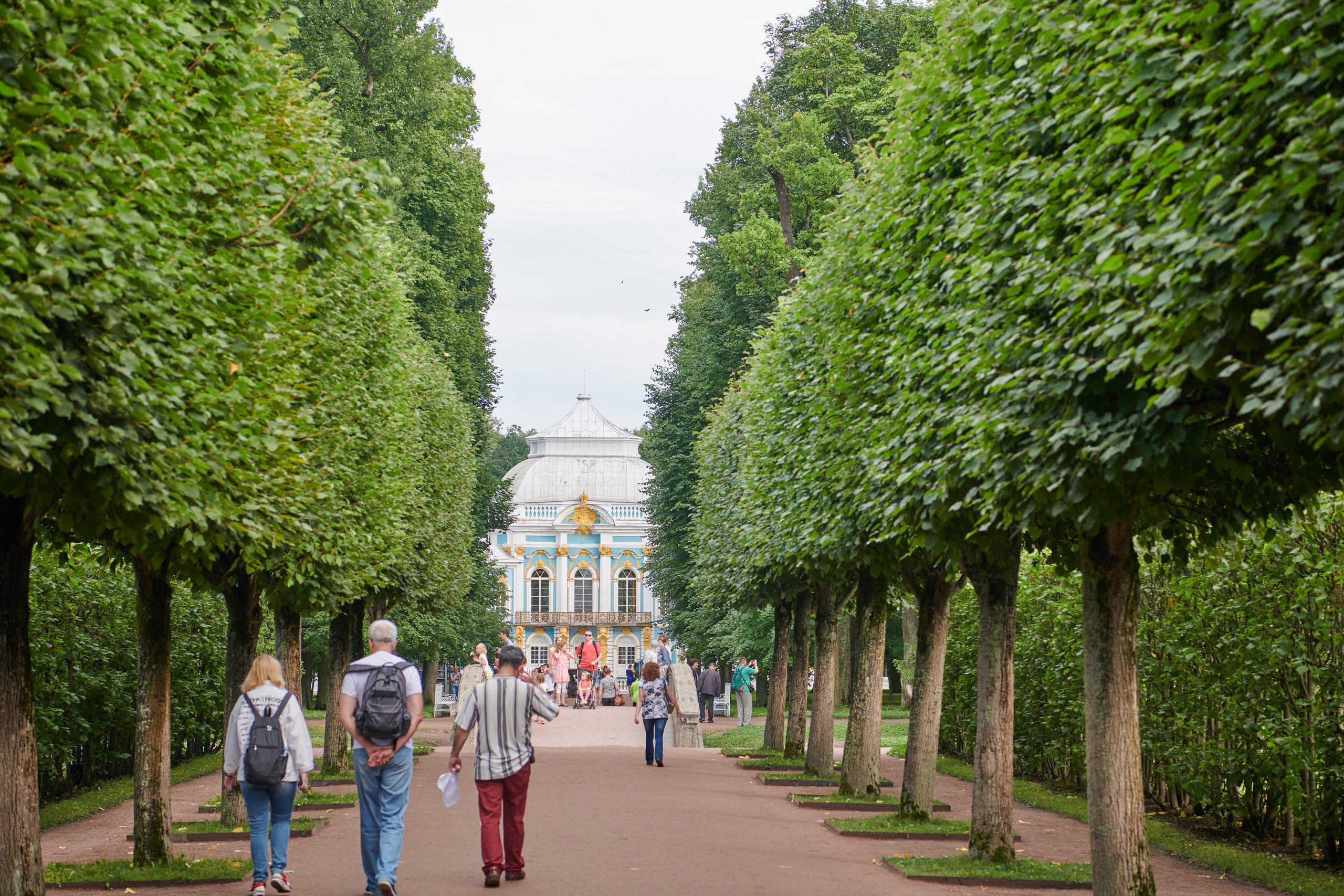 НАШИ ФОТО. Владимир Власюк