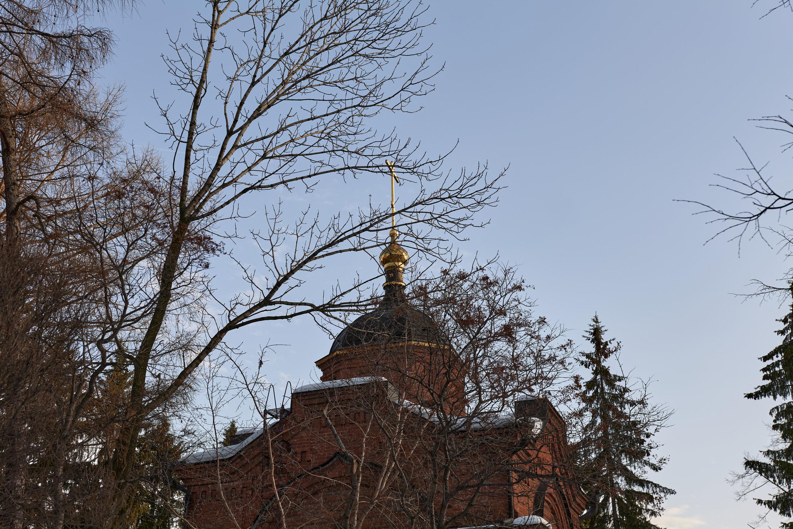НАШИ ФОТО. Владимир Власюк