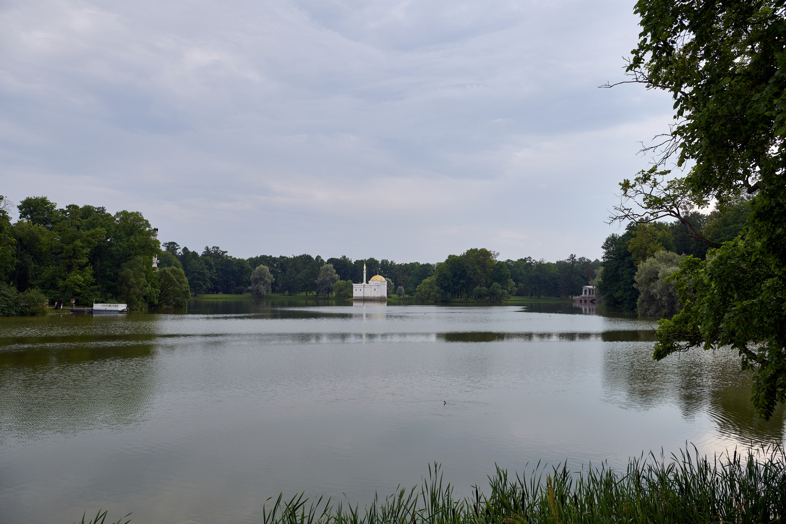 НАШИ ФОТО. Владимир Власюк