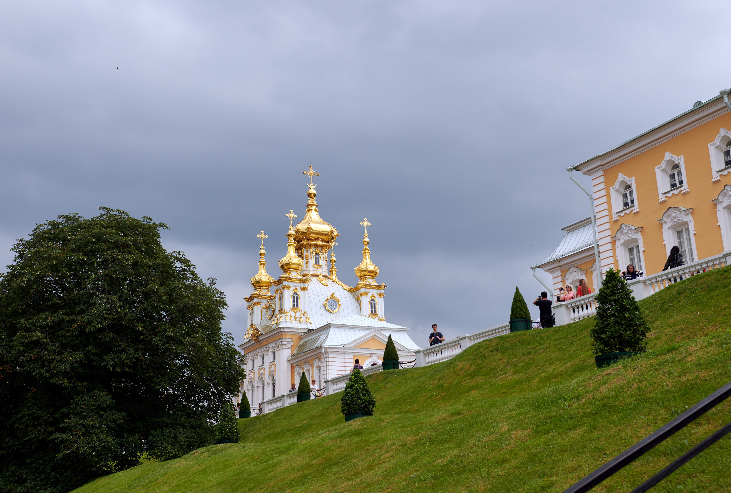 НАШИ ФОТО. Владимир Власюк