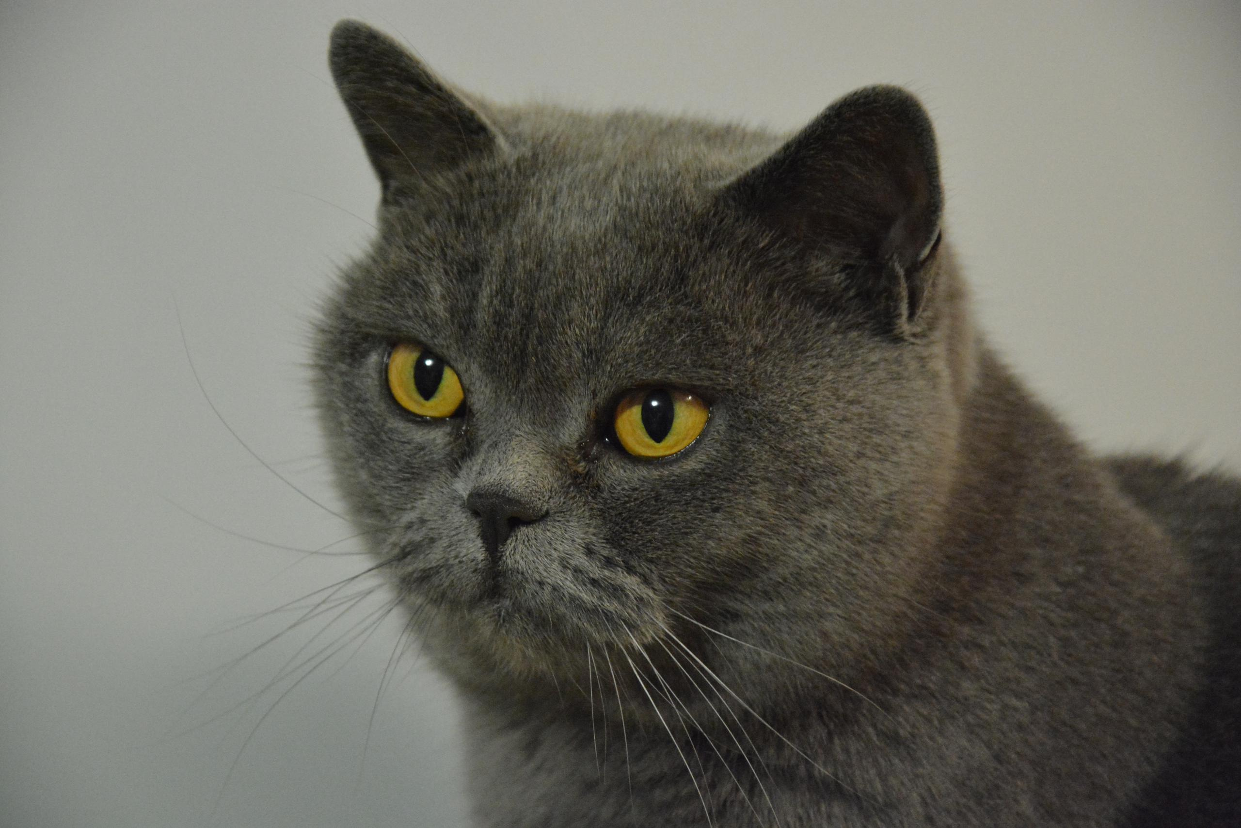 НАШИ ФОТО. Владимир Власюк