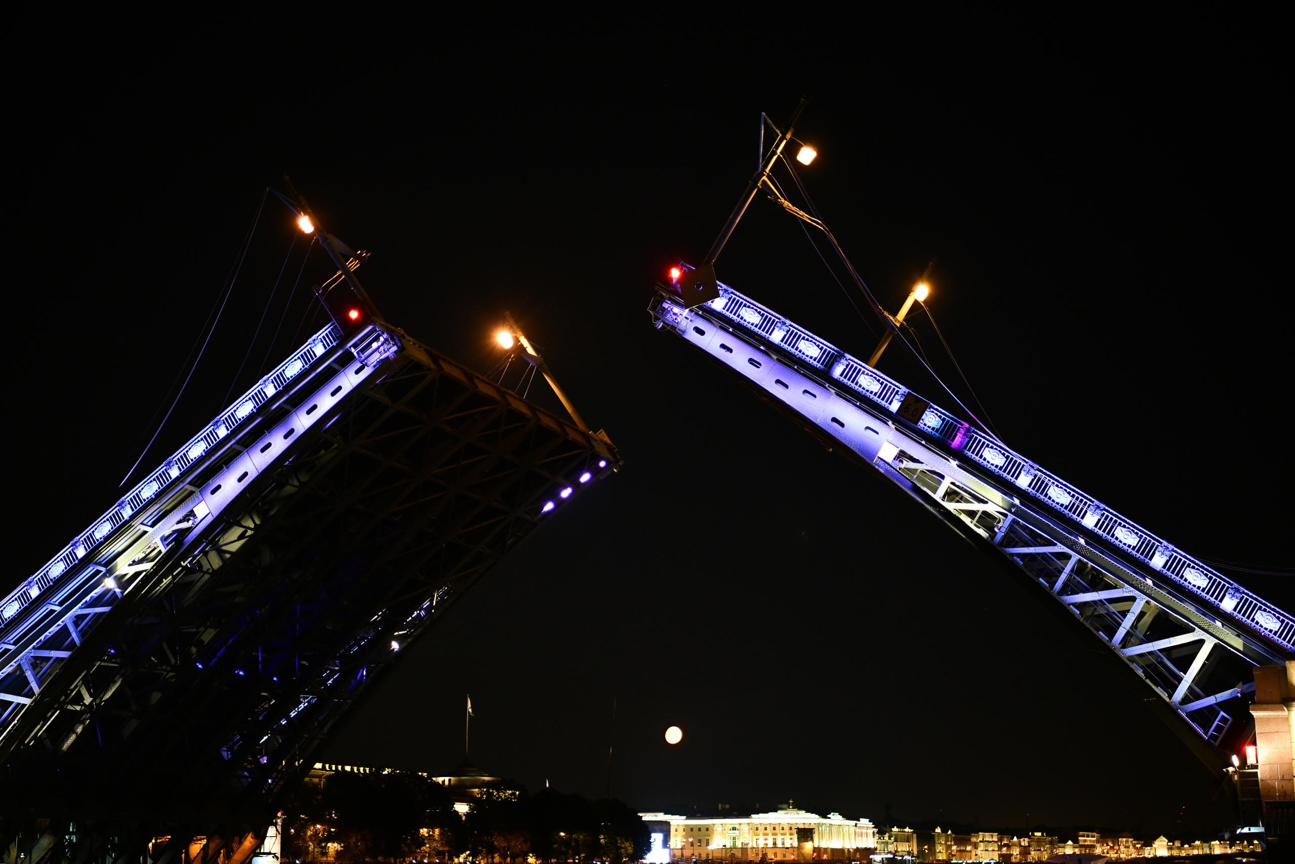 НАШИ ФОТО. Владимир Власюк