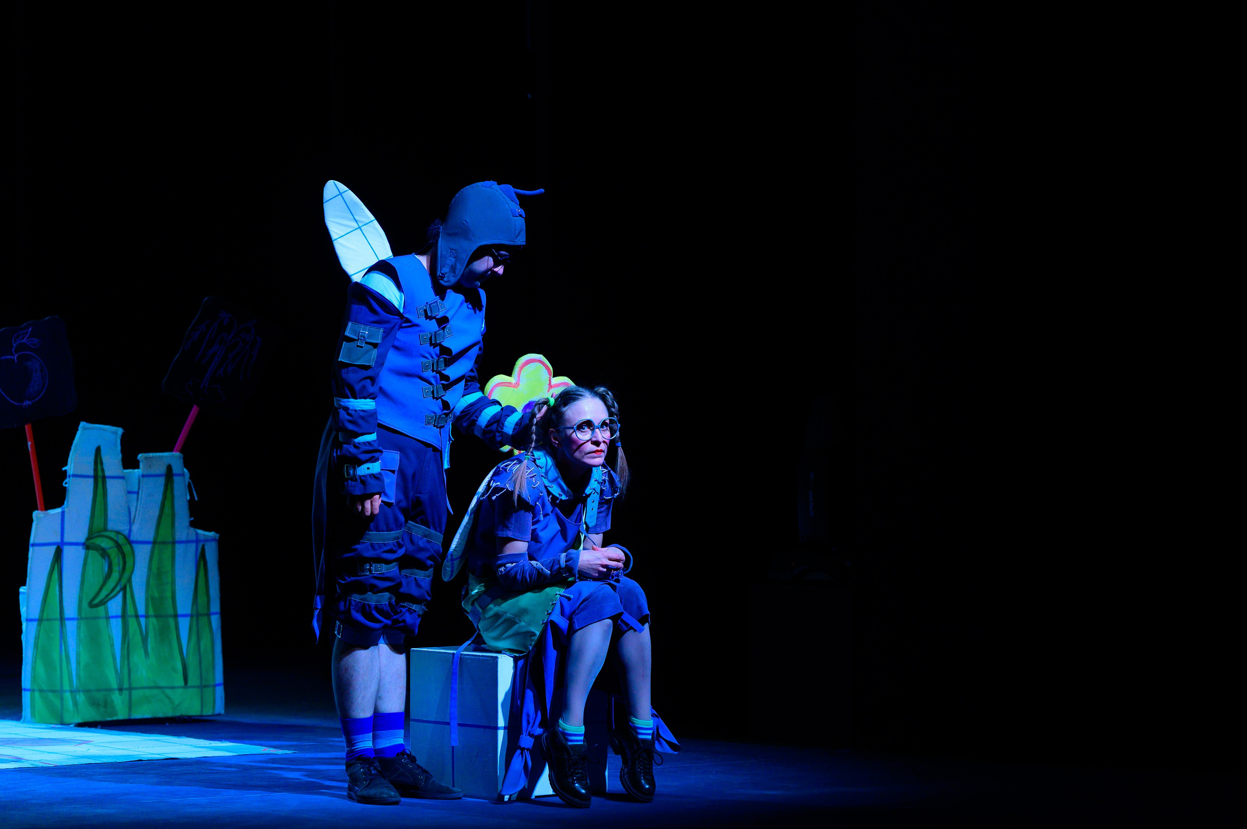 Муха Цокотуха. Фотоуслуги, услуги фотографа, фотографирование важных событий