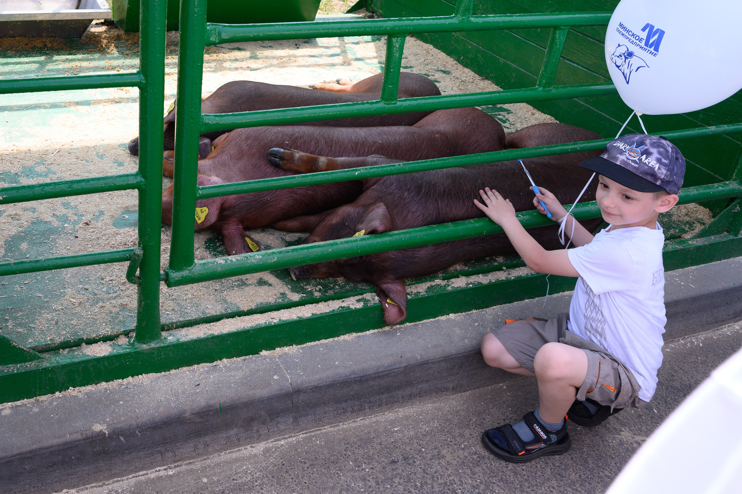 Агровыставка. Фотоуслуги, услуги фотографа, фотографирование важных событий