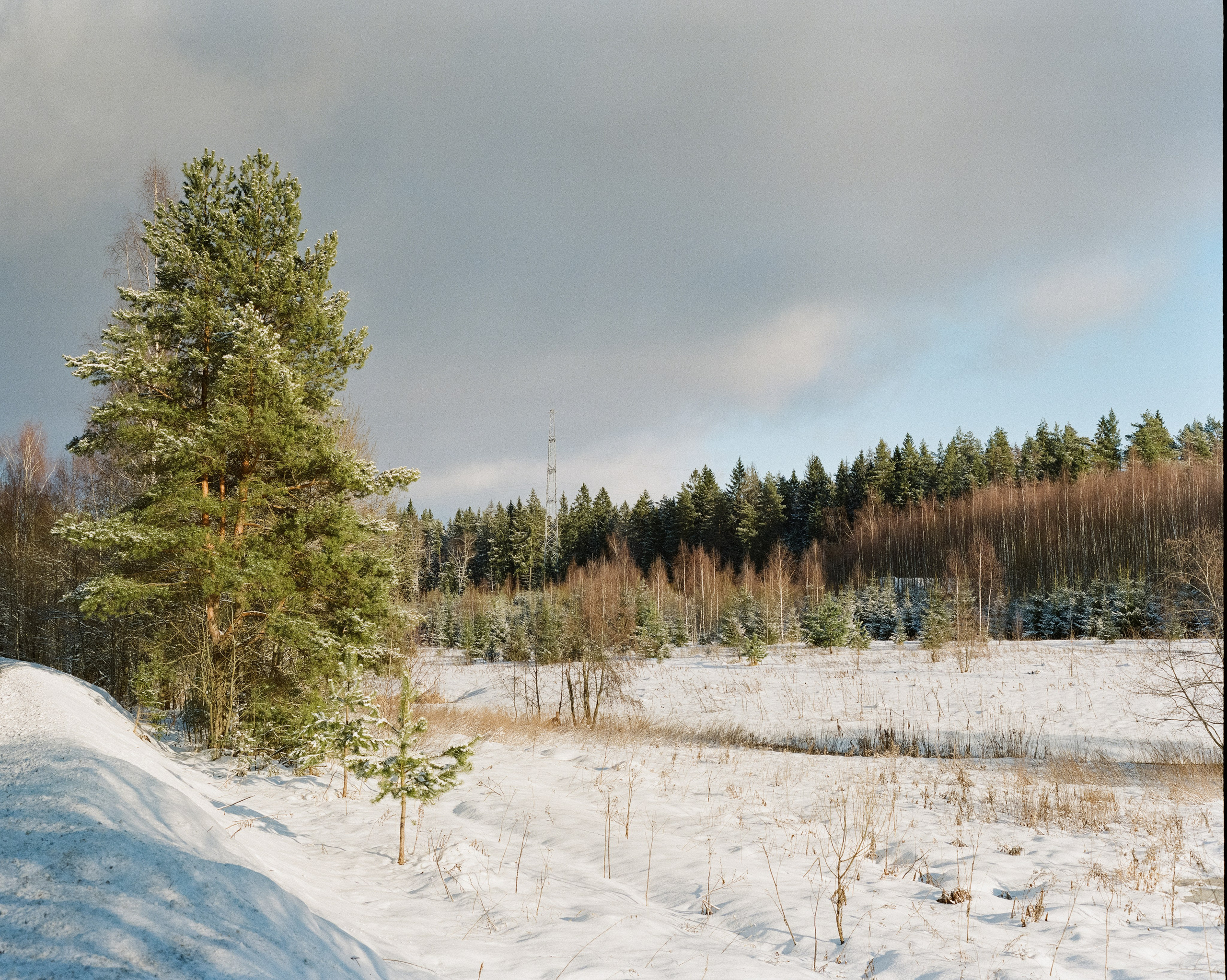 Pentax 67 — SMC Pentax 67 105 mm f/2.4 / Kodak Portra 800 / 3 января Лукино