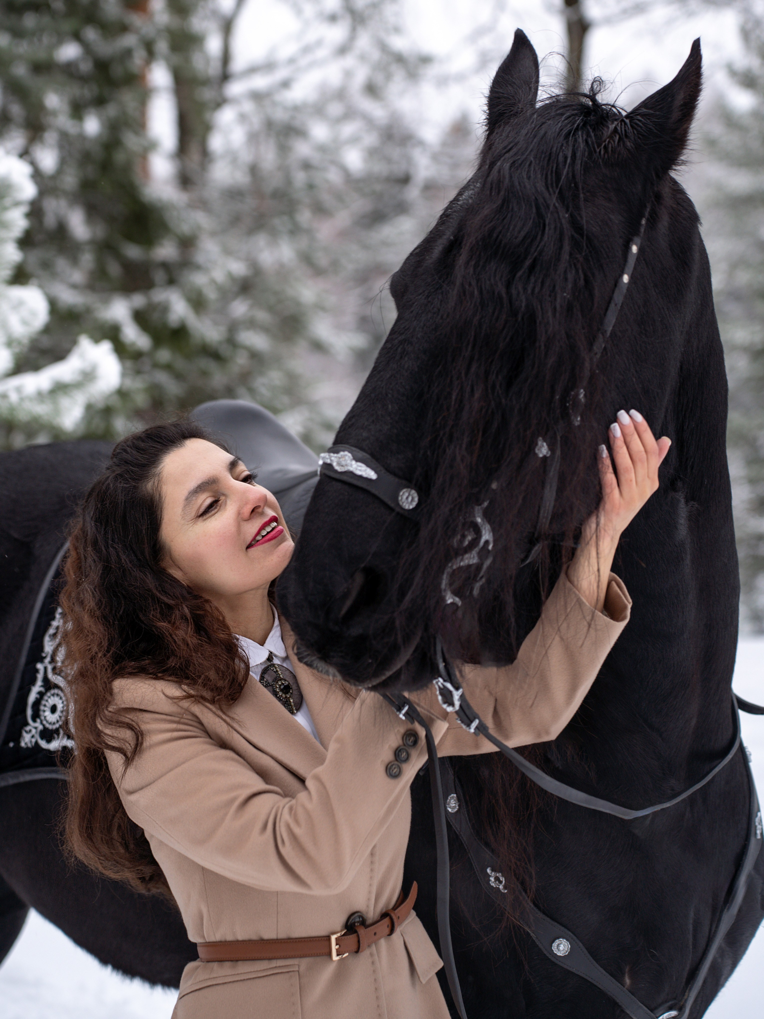 Лошадки зима. Фотограф Зинаида Евдокимова