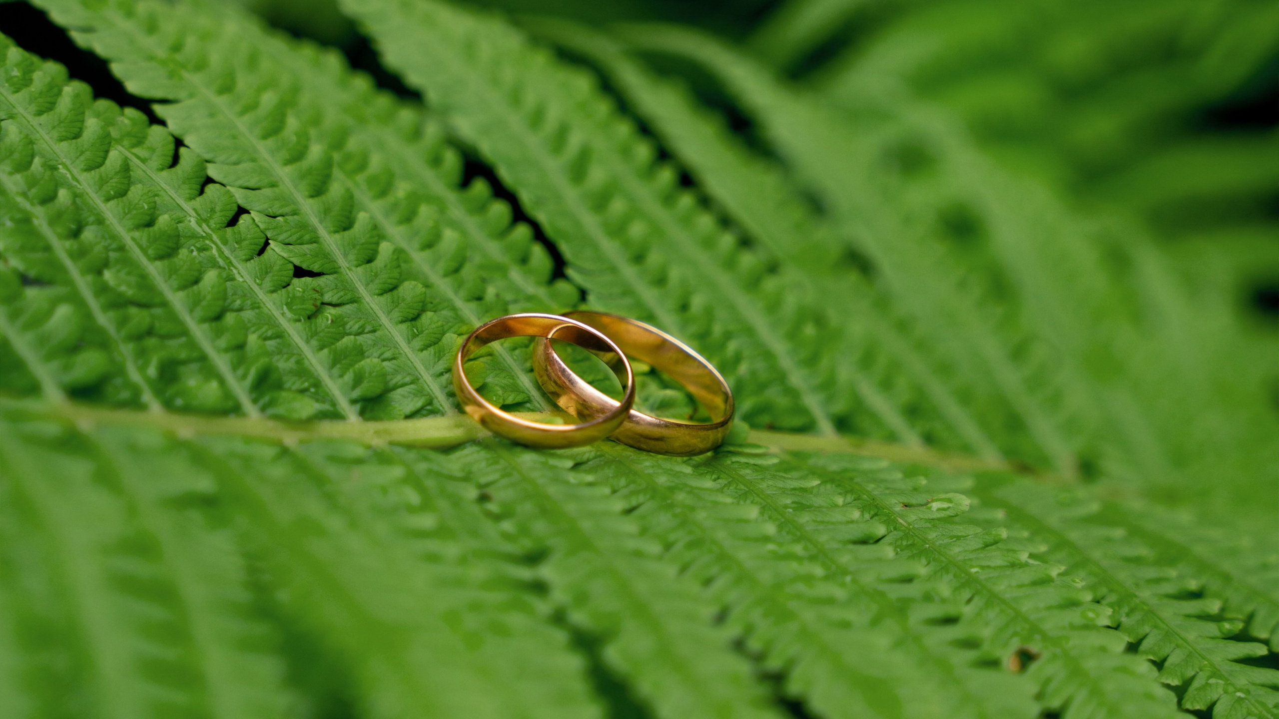 Услуги. Фотограф на любое мероприятие