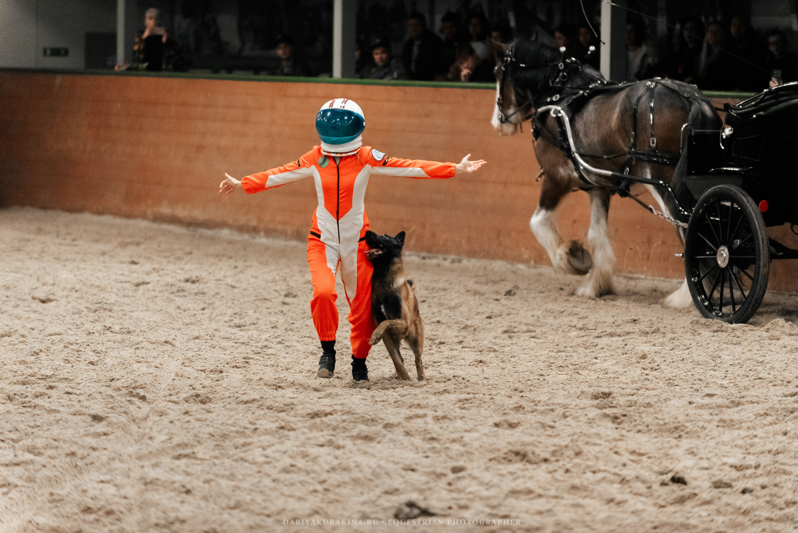 Конное представление «Дыхание Звёзд». Конный фотограф Куракина Дарья • Фотосессии с лошадьми