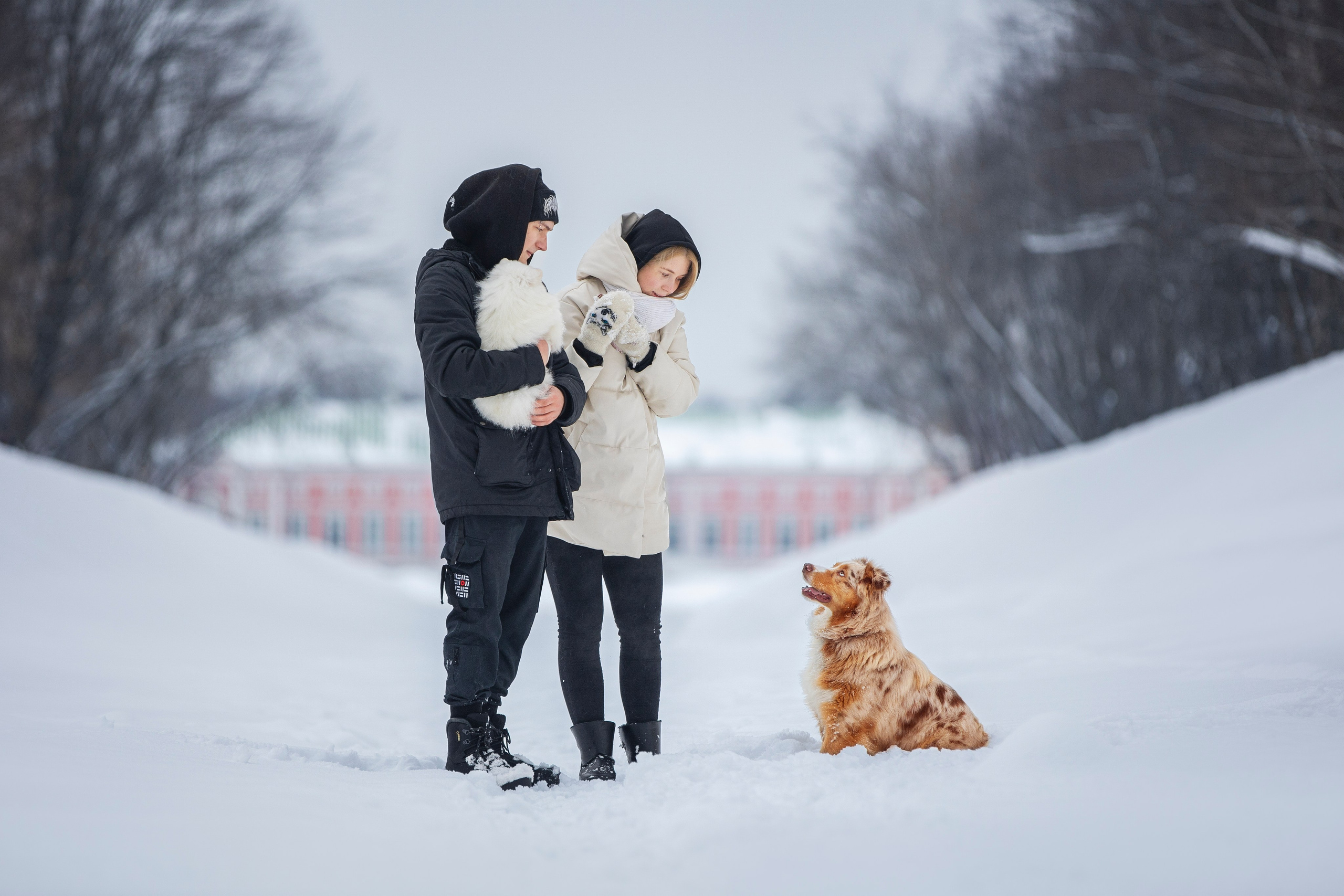 Настя, Игорь, Тесс и Марс. Фотограф анималист в Москве Майорова Евгения