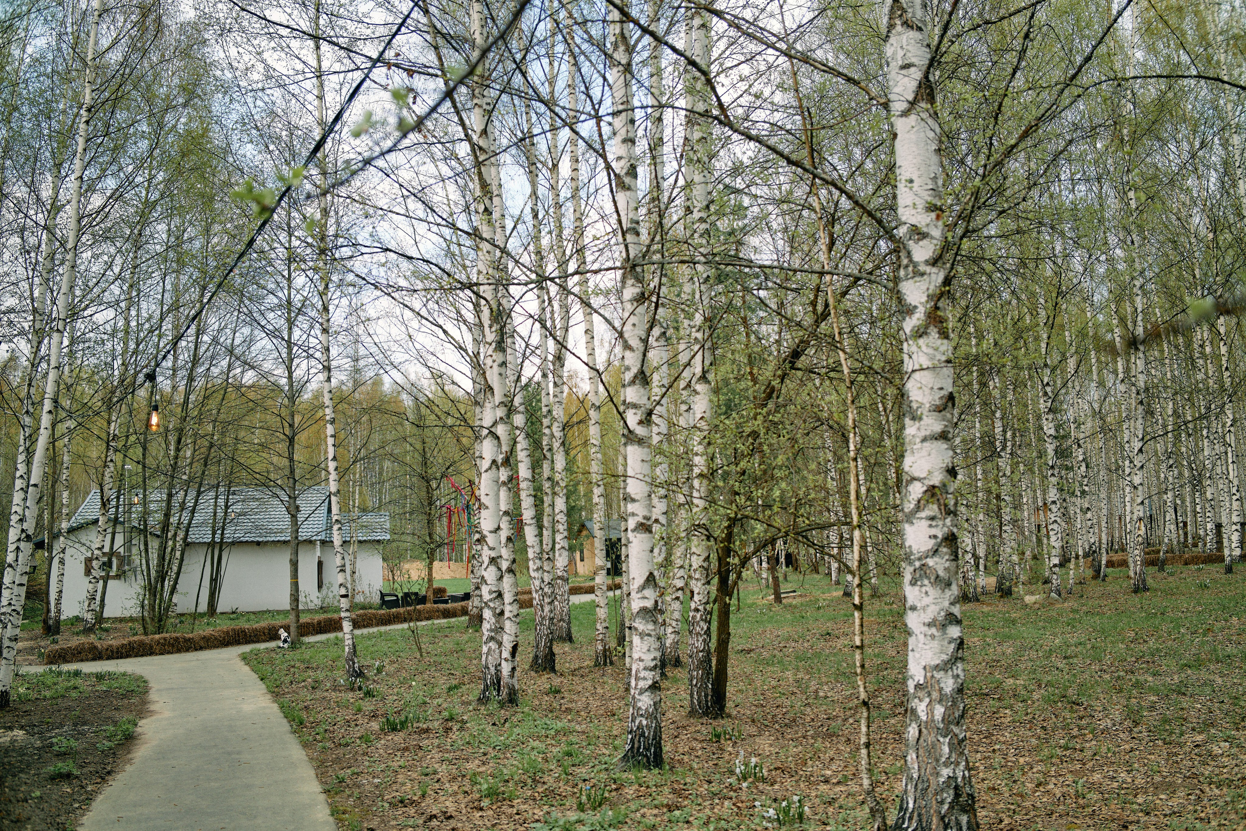 Бутик-отель Поле летом. Профессиональный Фотограф во Владимире, в Москве и в Суздале — Полина Романычева