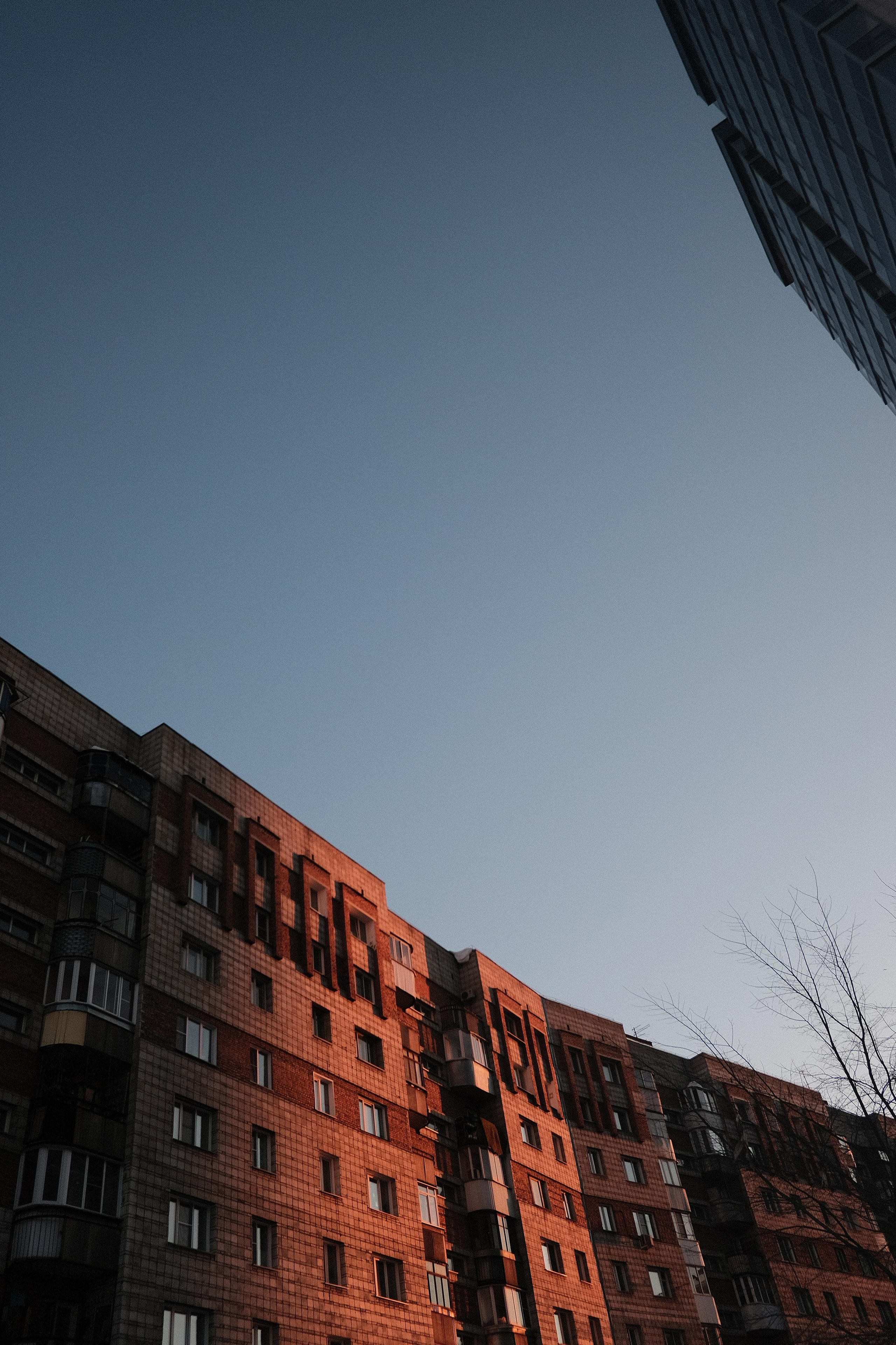 Наблюдения. Семейный фотограф в Новосибирске Артём Кузнецов