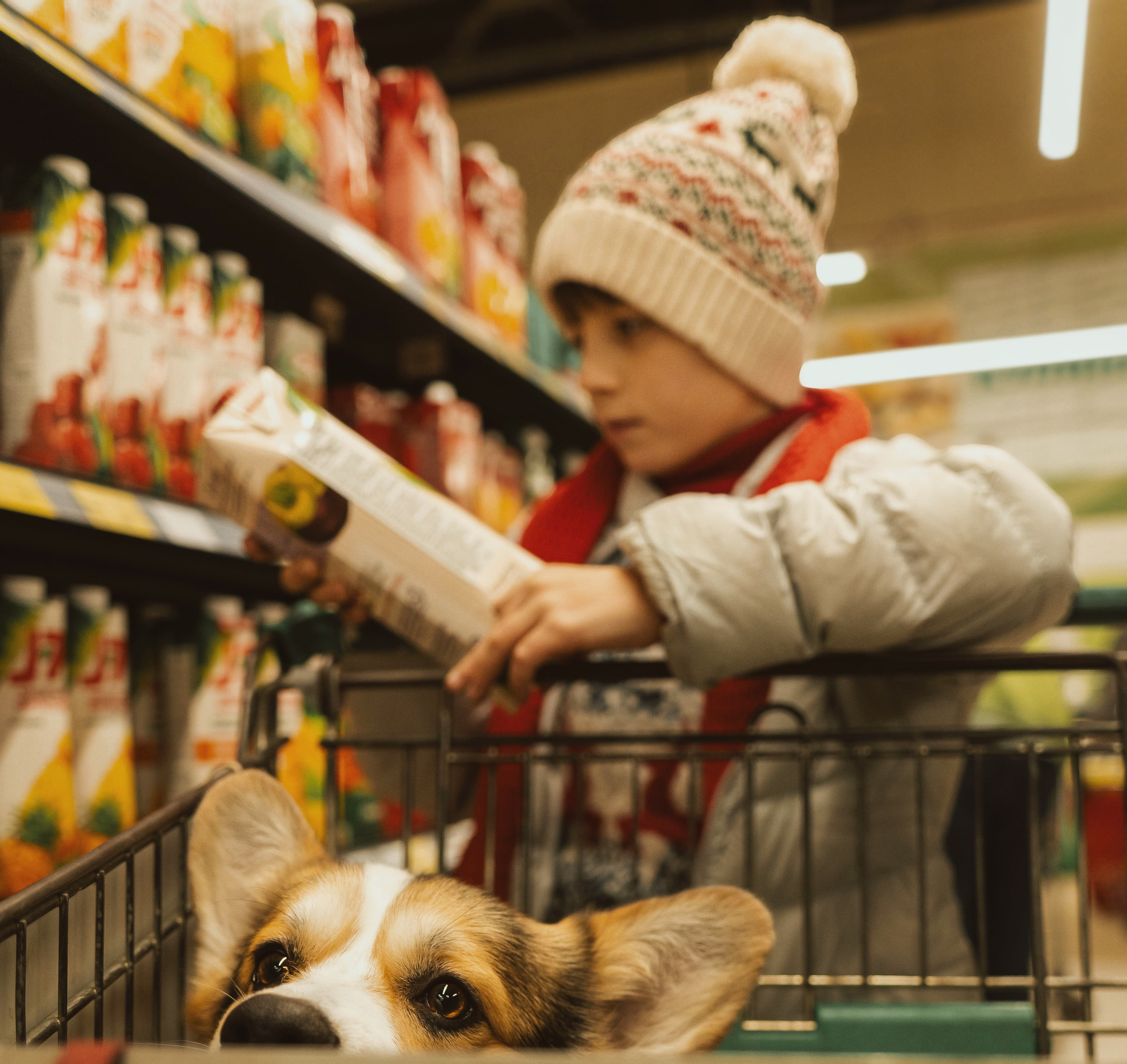 Один дома. Семейный фотограф анималист г. Находка
