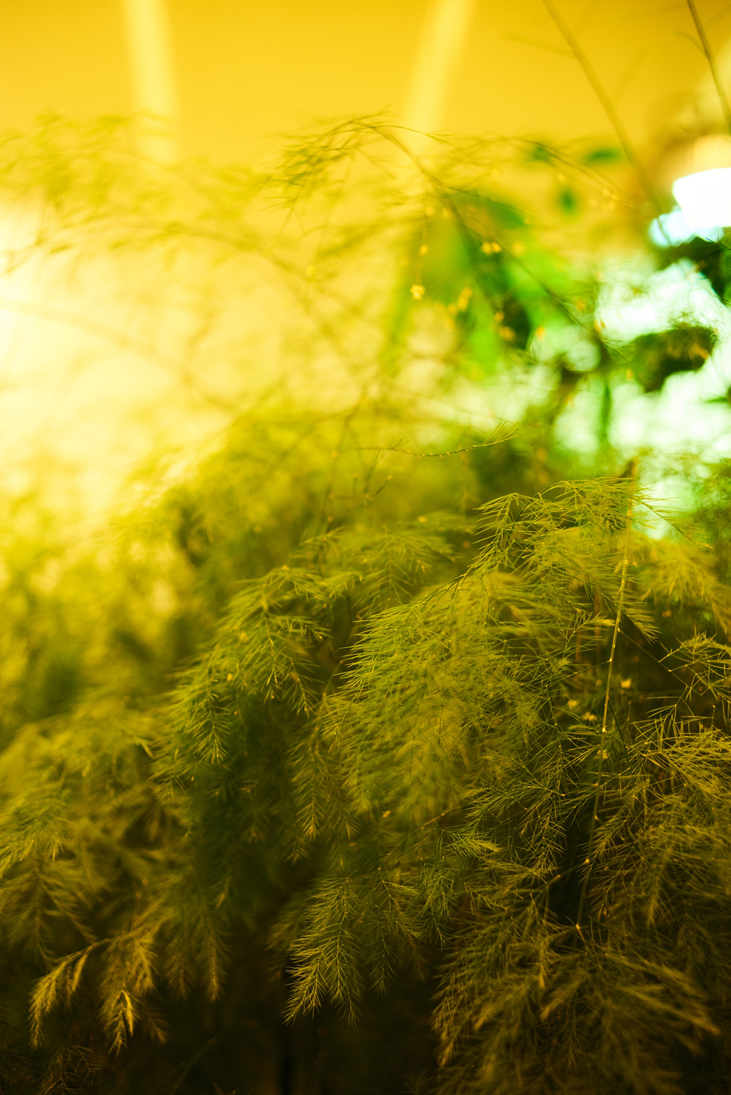 2025. Марфин. Фотограф