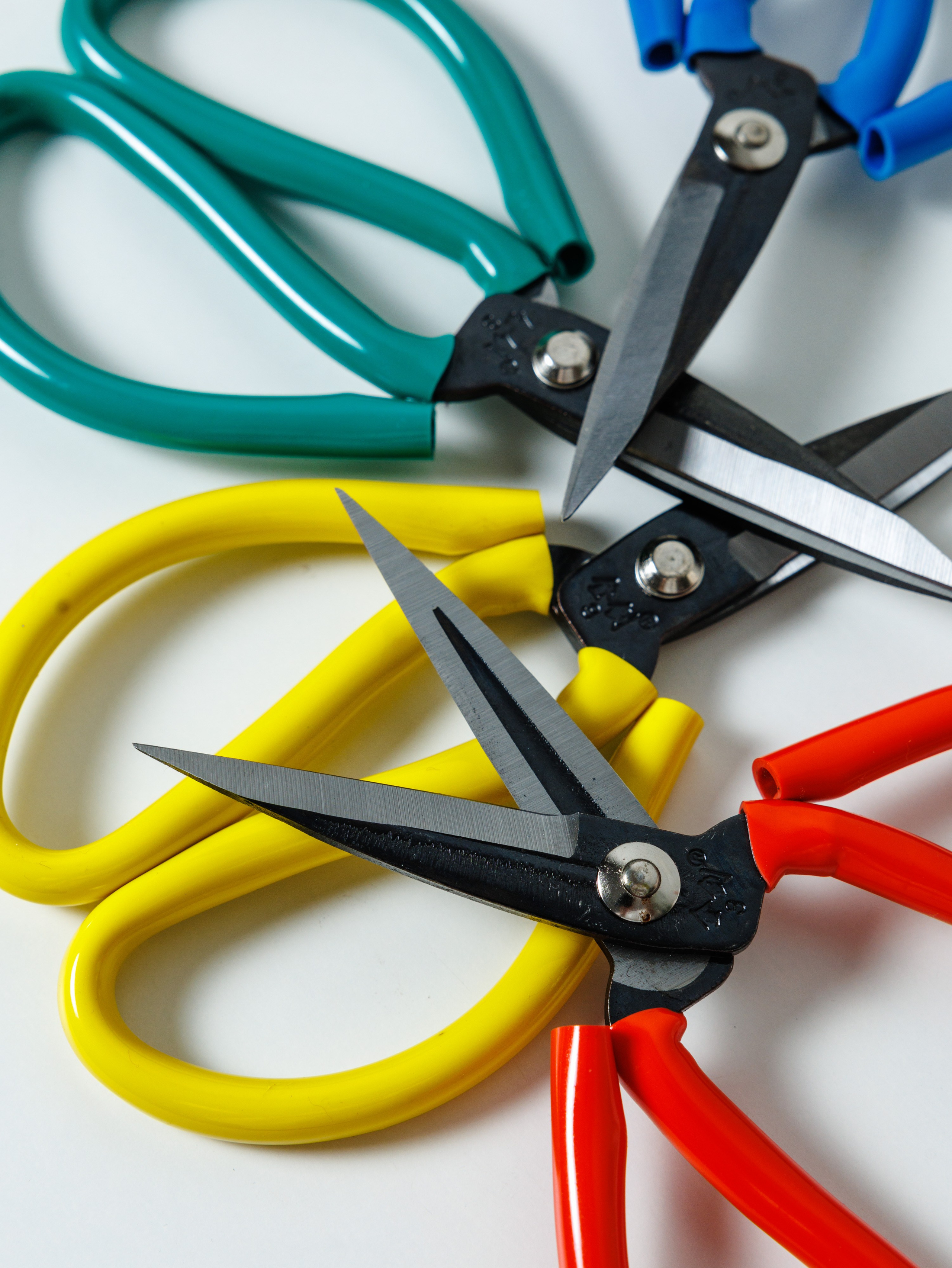 Gamakov Shnur. Фотограф Ставрополь Петр Голубенко